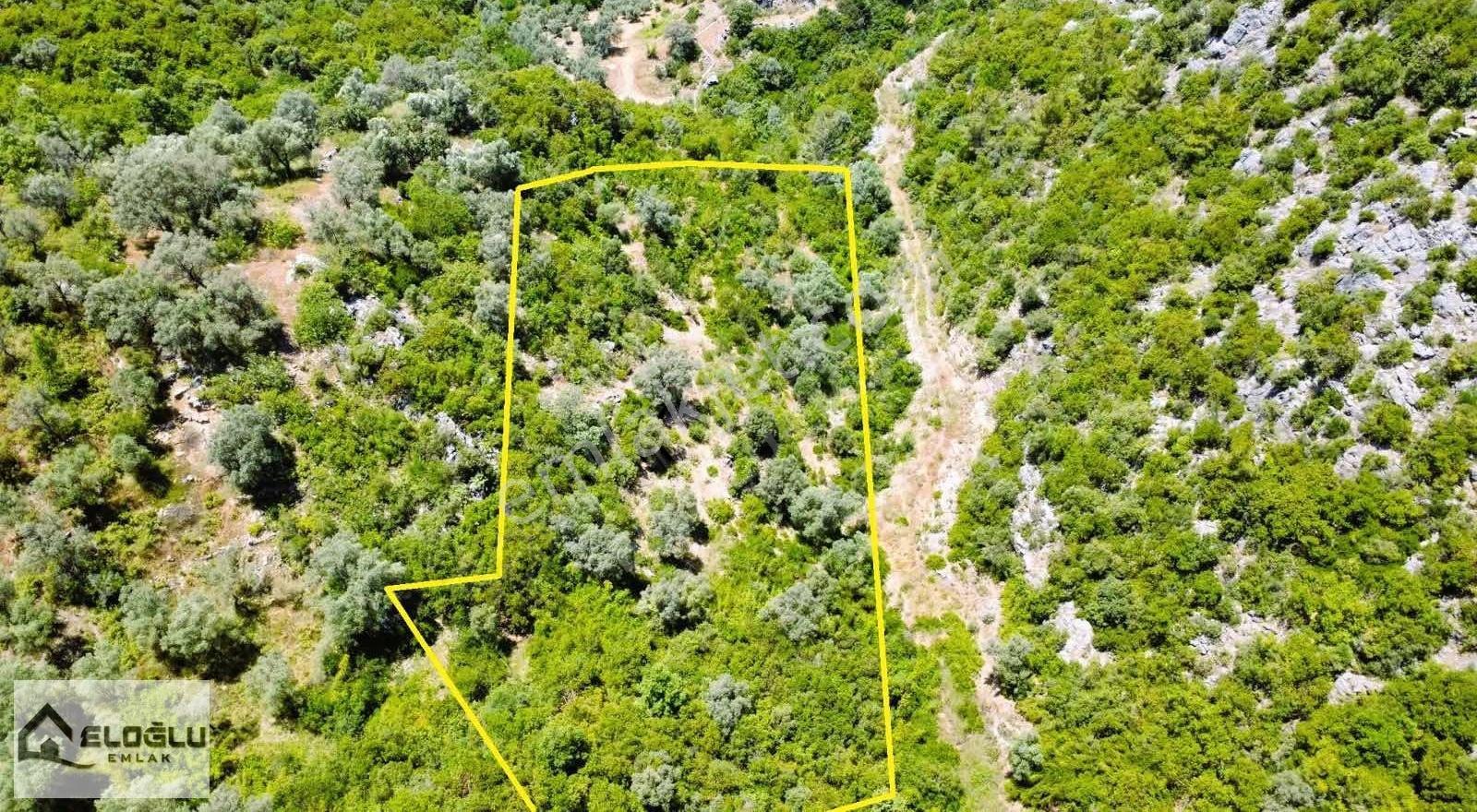 Alanya Karamanlarda Satılık 4.470 M2 Müstakil Tarla - Görsel 16