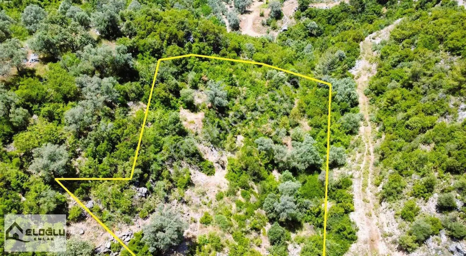 Alanya Karamanlarda Satılık 4.470 M2 Müstakil Tarla - Görsel 3