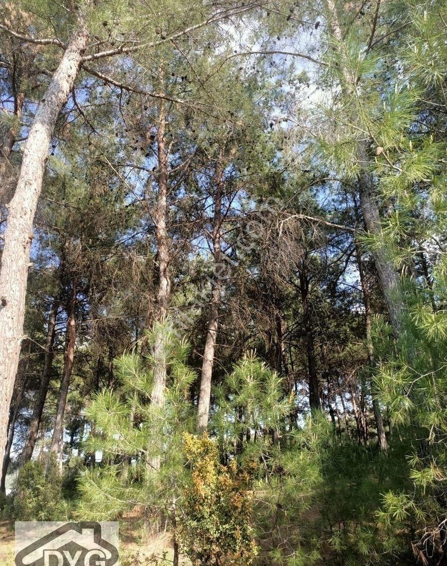 İmarlı Satılık Yatırımlık Arsa - Görsel 7
