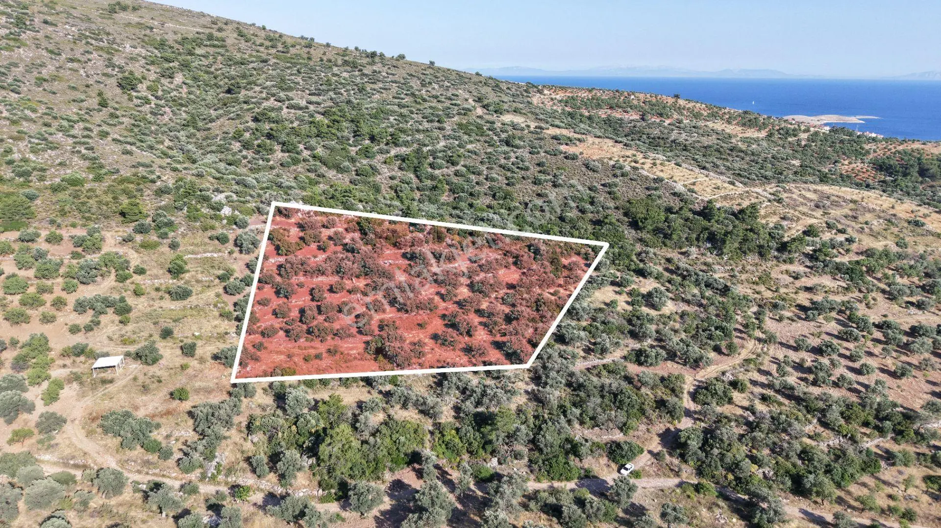 Datça Yaka Mah. Zeytinlik Satılık 5.089 M² - Görsel 3