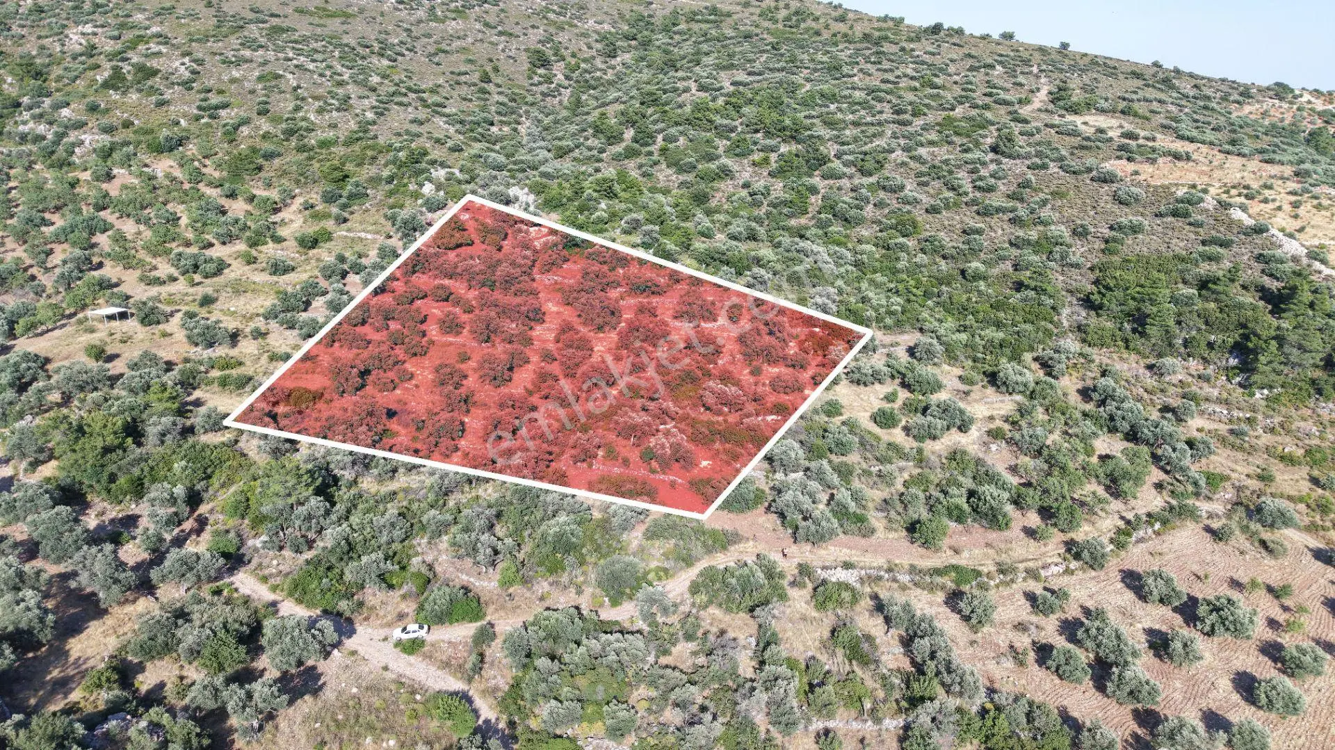 Datça Yaka Mah. Zeytinlik Satılık 5.089 M²