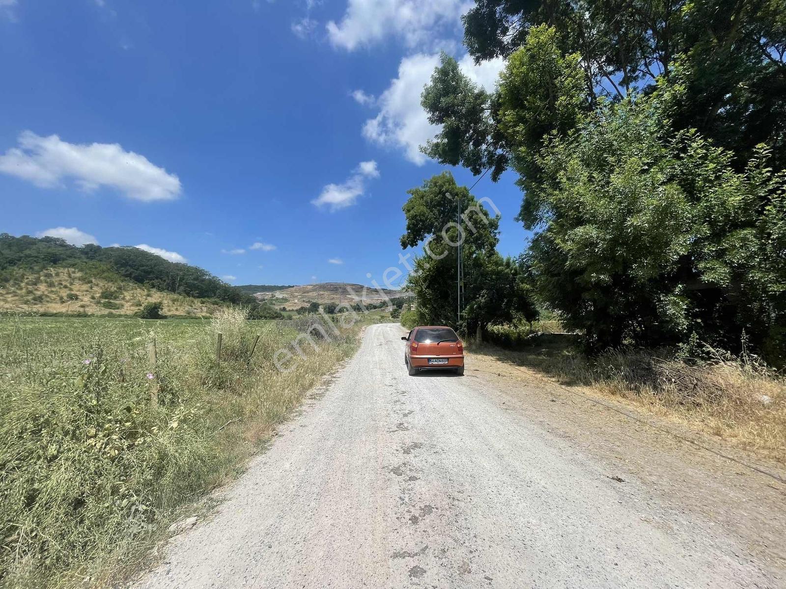 Adapazarı Dağdibinde 1069m2 Kaçırılmayacak Fırsat - Görsel 3