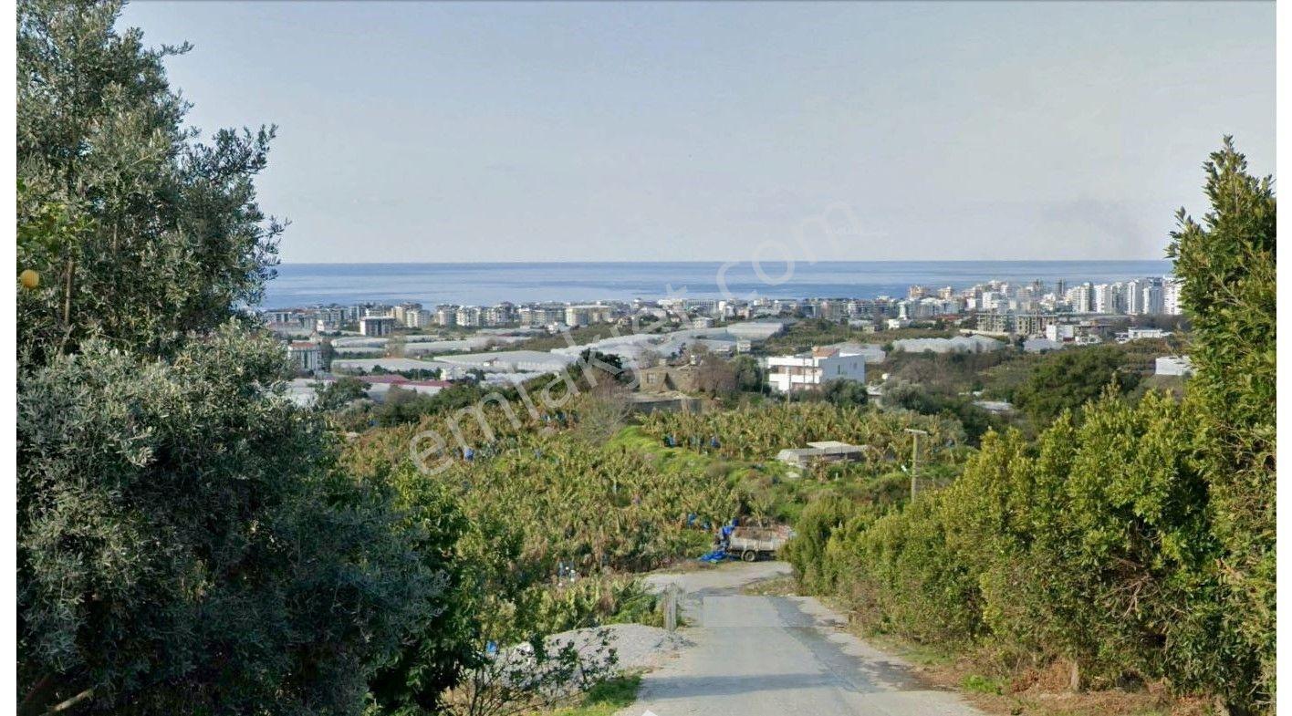 Antalya Alanya Granada Rezidans 1+1 Eşyalı Satılık Konut - Görsel 20