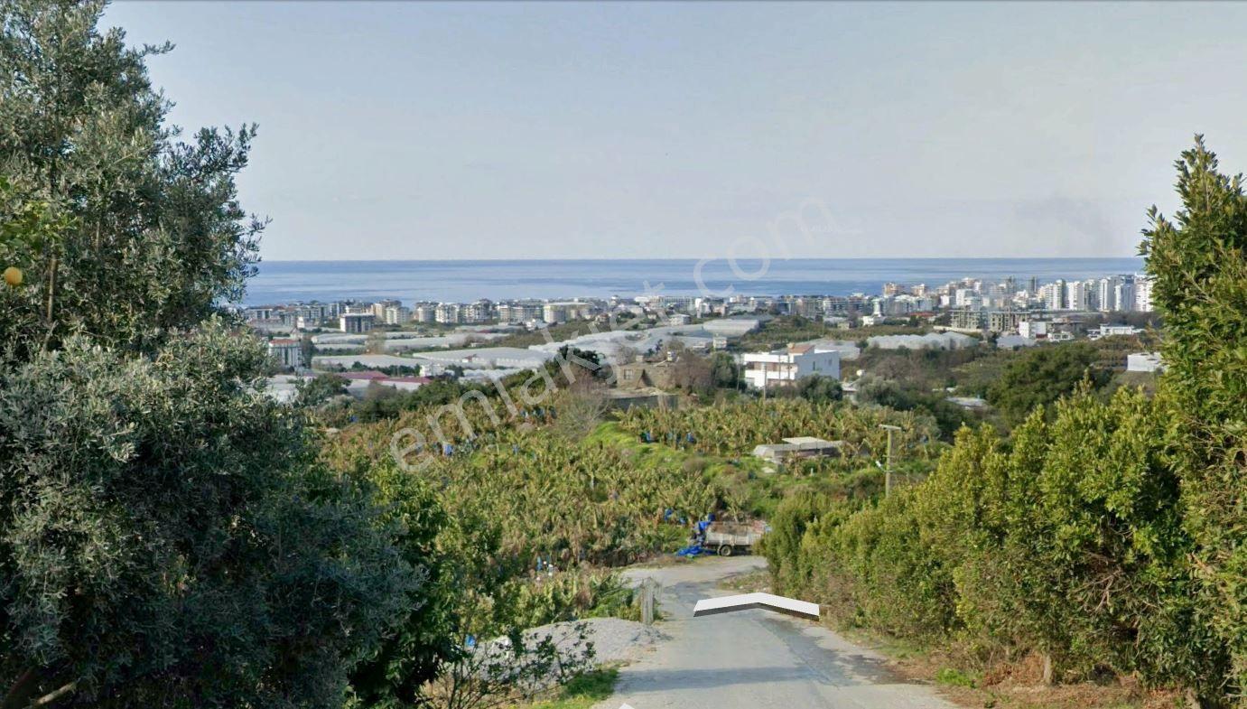 Antalya Alanya Granada Rezidans 1+1 Eşyalı Satılık Konut - Görsel 22