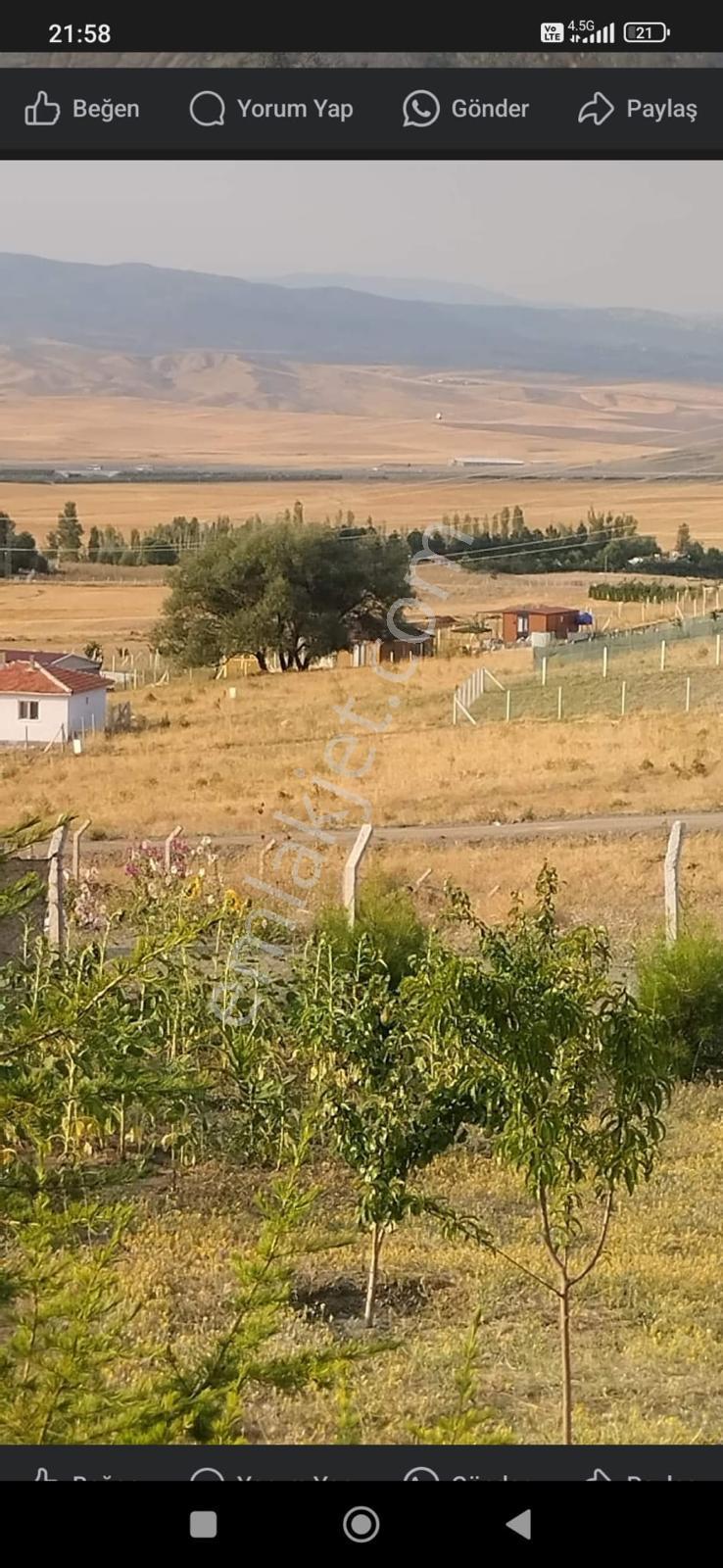 Gölbaşı Soğulcakta 500 M2 Yola Cephe Fırsat Bahçe - Görsel 5