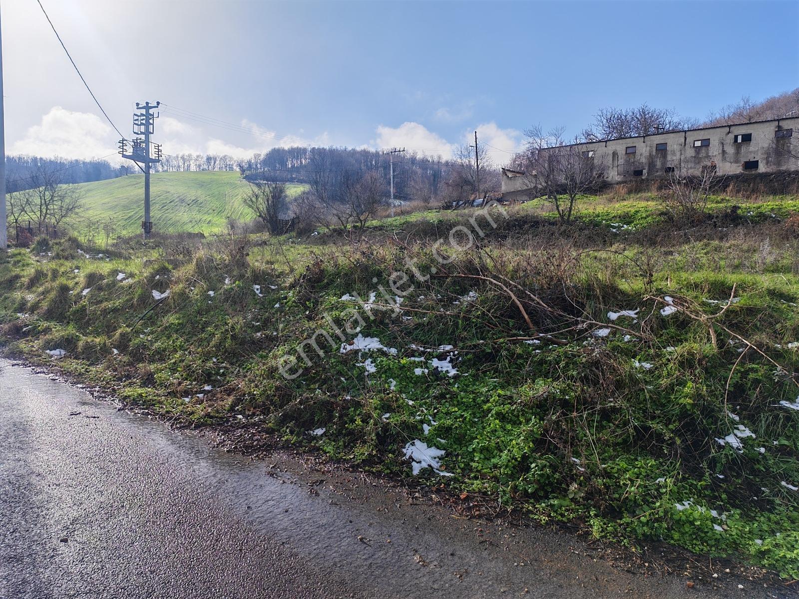 1.004 M² İmarlı Arsa Orman Manzaralı, Yola Cepheli, İmarlı Arsa - Görsel 12