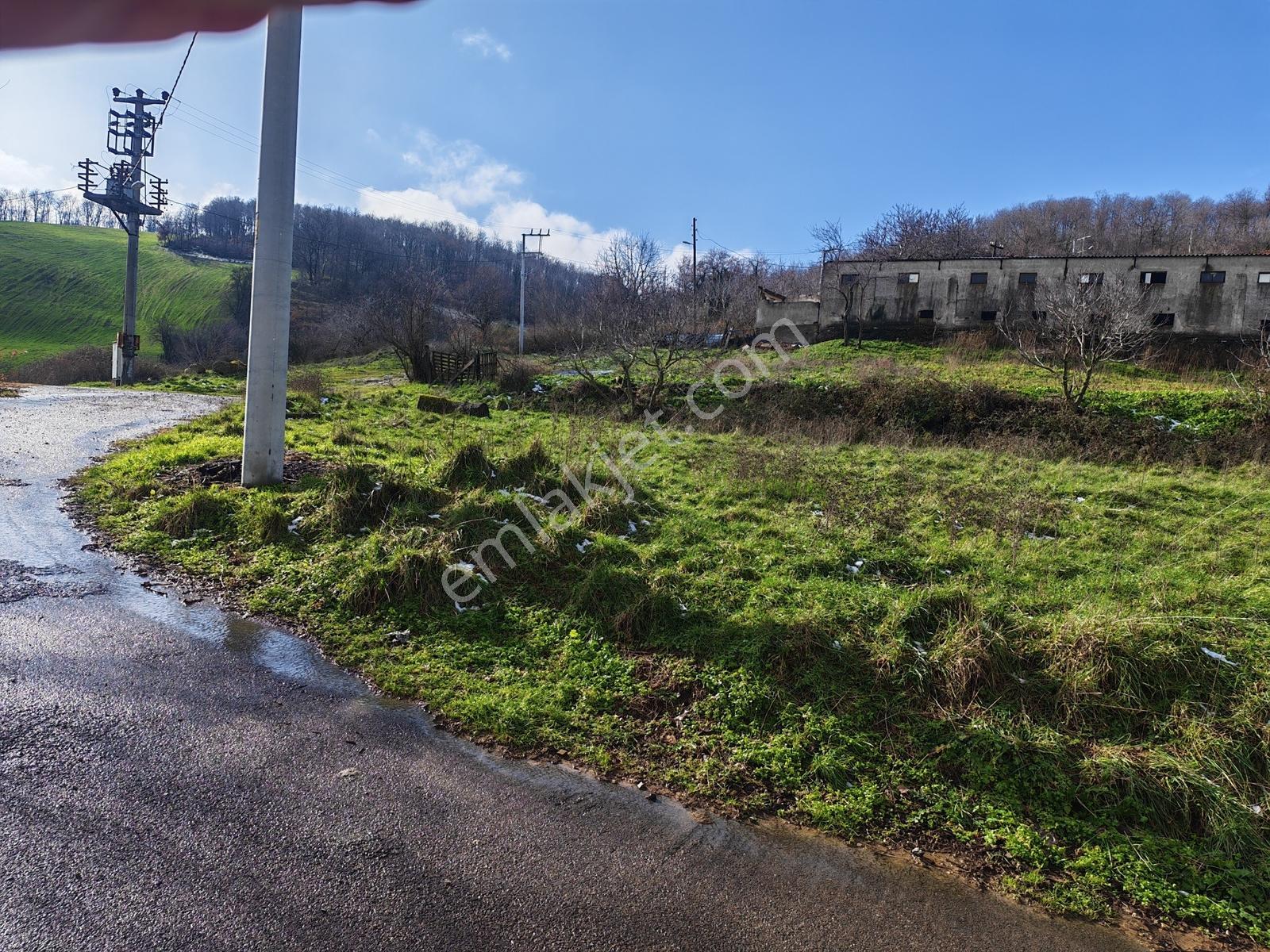 1.004 M² İmarlı Arsa Orman Manzaralı, Yola Cepheli, İmarlı Arsa - Görsel 19