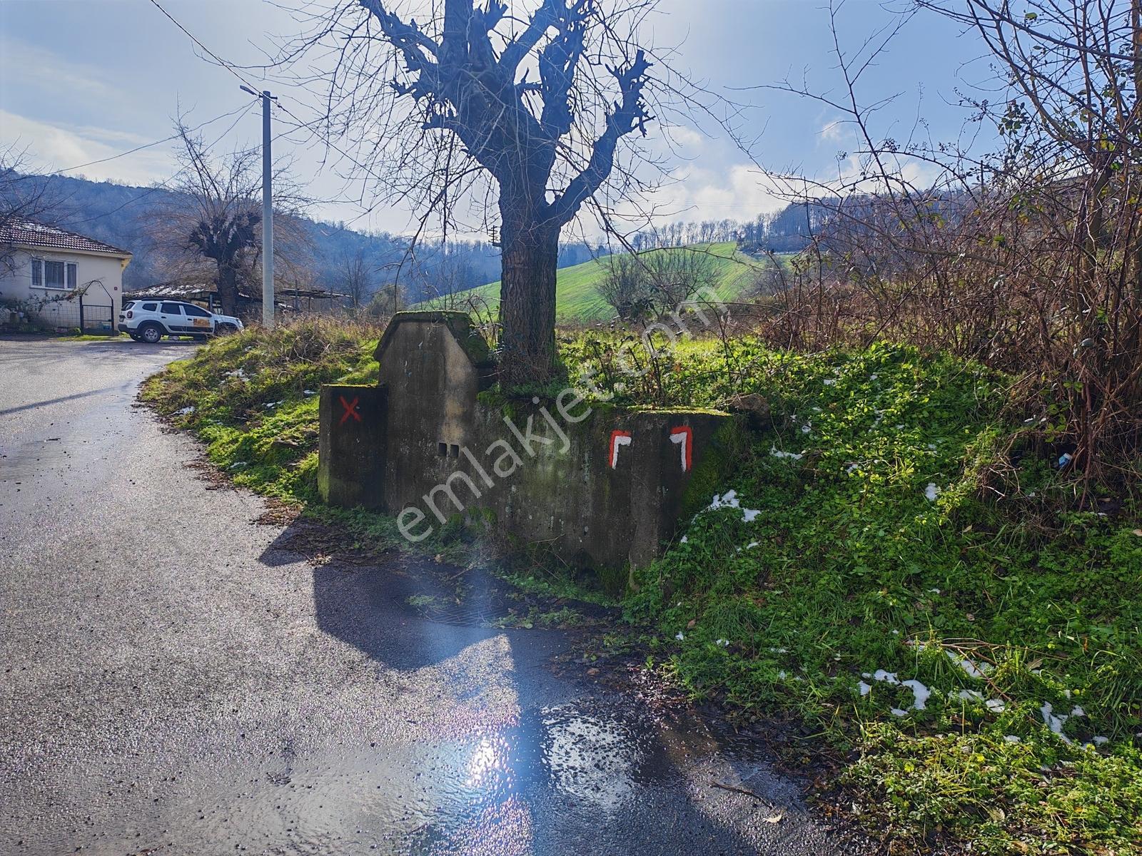 1.004 M² İmarlı Arsa Orman Manzaralı, Yola Cepheli, İmarlı Arsa - Görsel 8