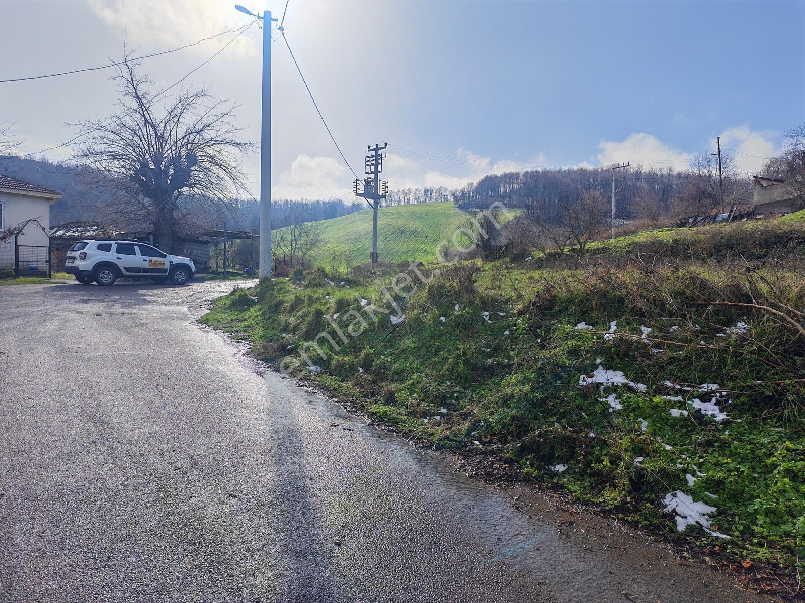 1.004 M² İmarlı Arsa Orman Manzaralı, Yola Cepheli, İmarlı Arsa - Görsel 23