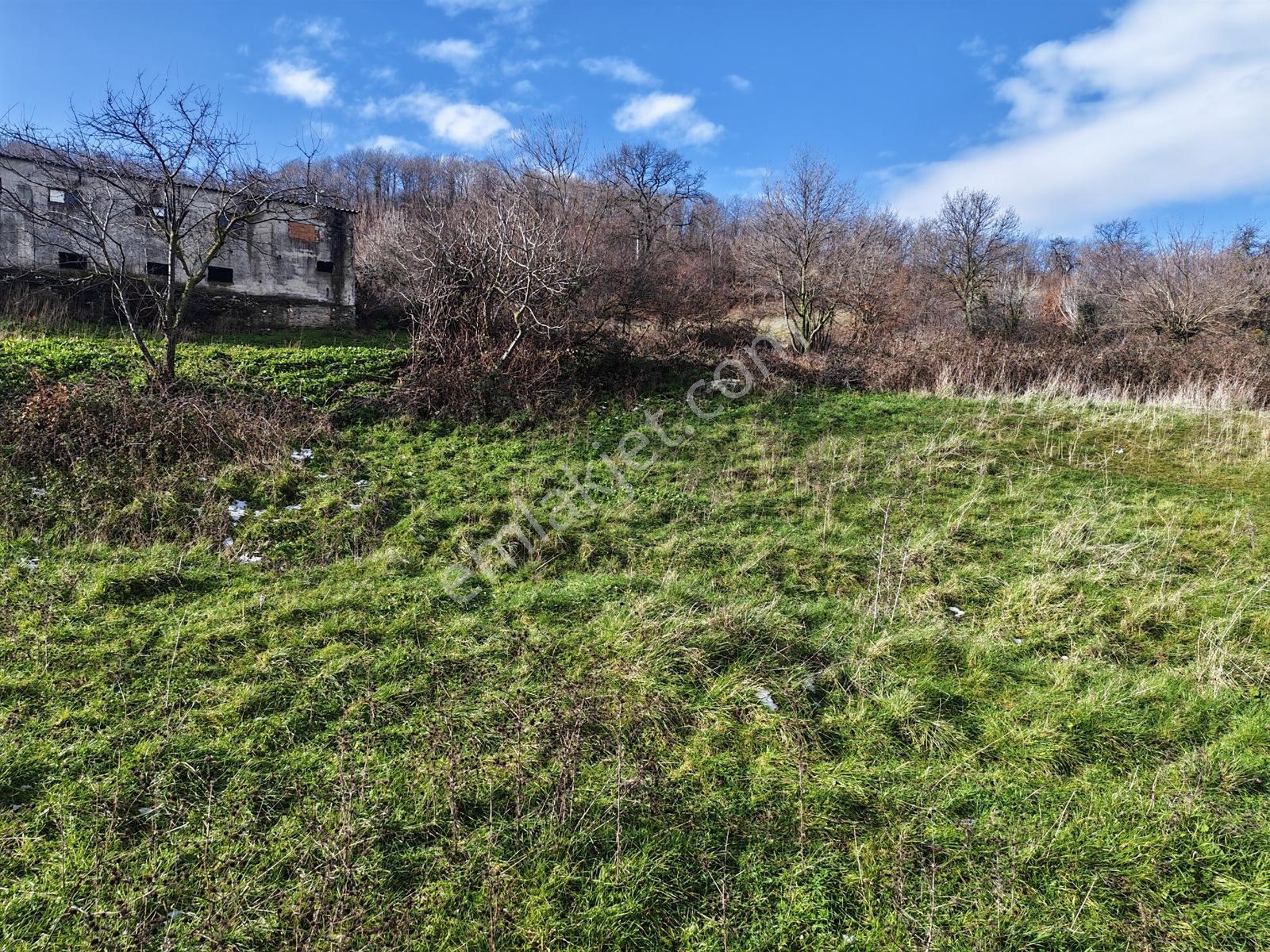 1.004 M² İmarlı Arsa Orman Manzaralı, Yola Cepheli, İmarlı Arsa - Görsel 2