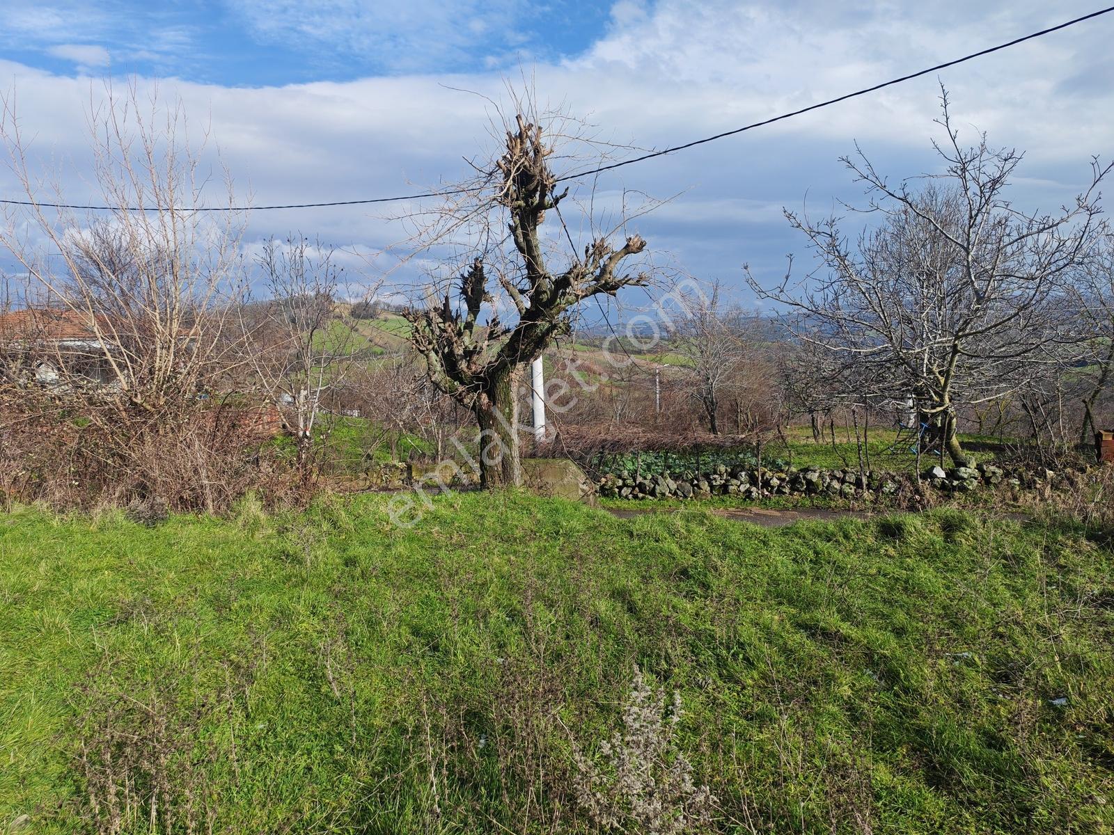 1.004 M² İmarlı Arsa Orman Manzaralı, Yola Cepheli, İmarlı Arsa - Görsel 35