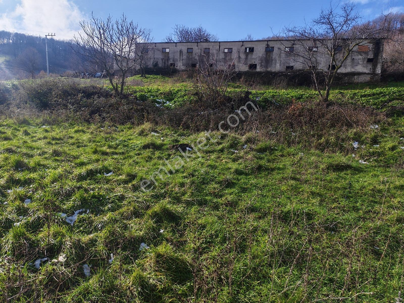 1.004 M² İmarlı Arsa Orman Manzaralı, Yola Cepheli, İmarlı Arsa - Görsel 13