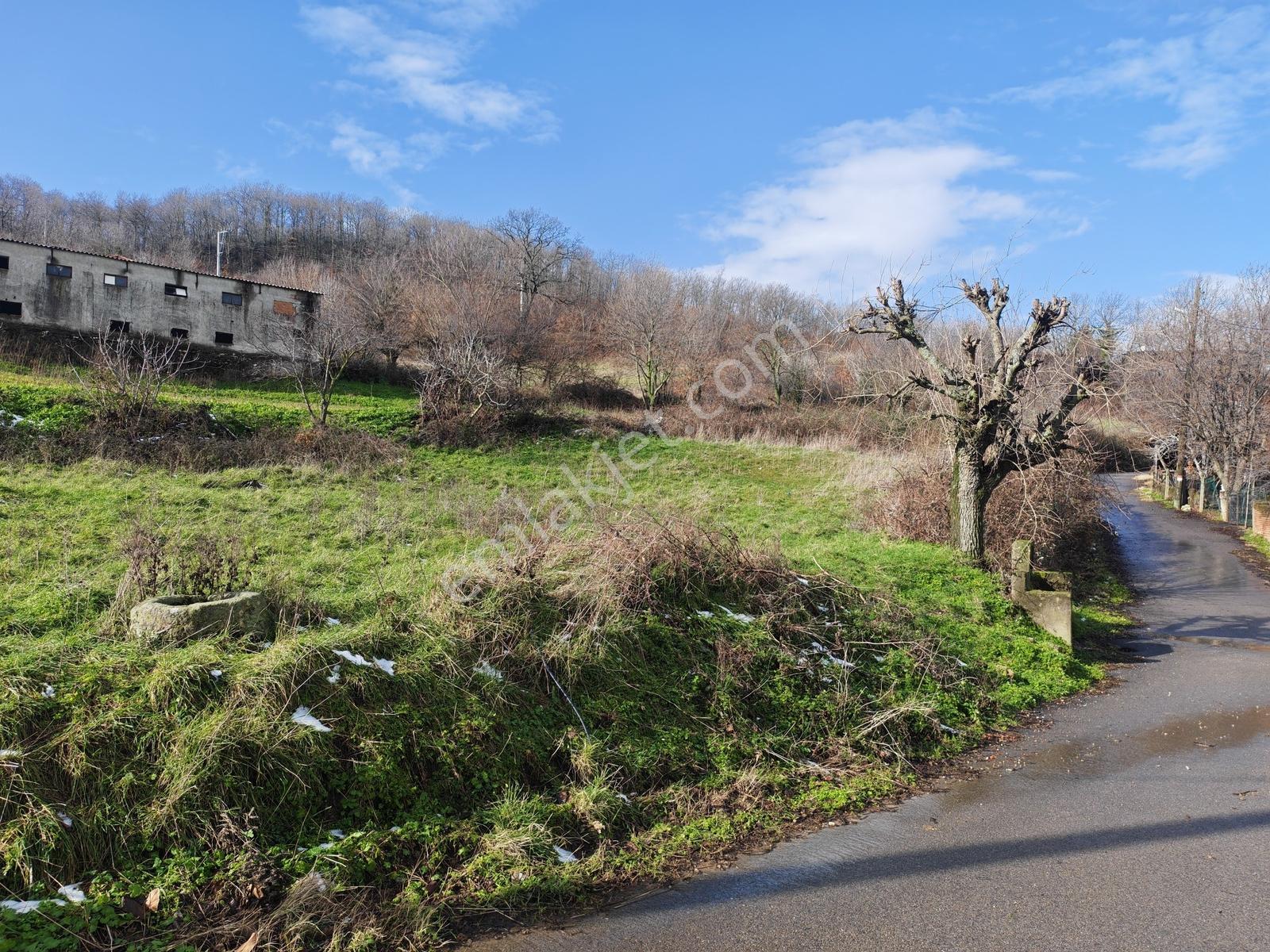 1.004 M² İmarlı Arsa Orman Manzaralı, Yola Cepheli, İmarlı Arsa - Görsel 10