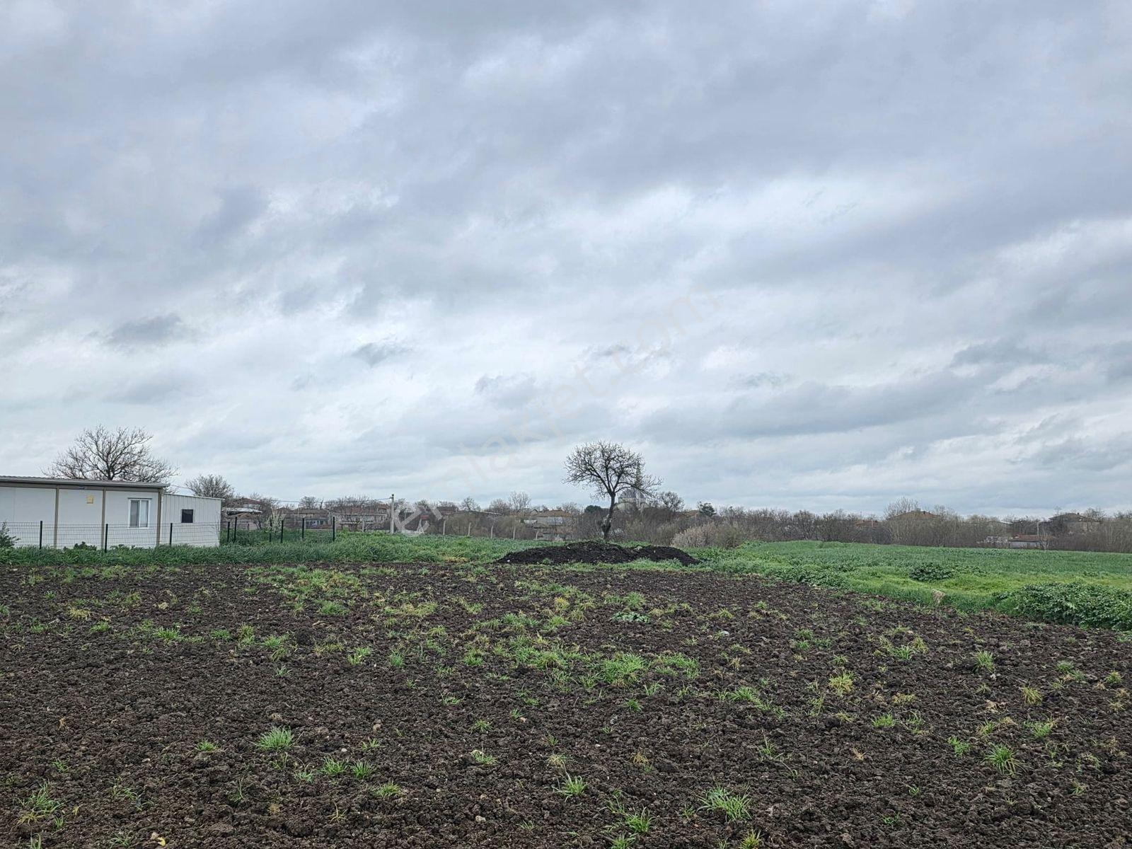 Var'dan Hayrabolu Büyükkarakarlı'da 3783m2 Hazır Projeli Arsa - Görsel 9