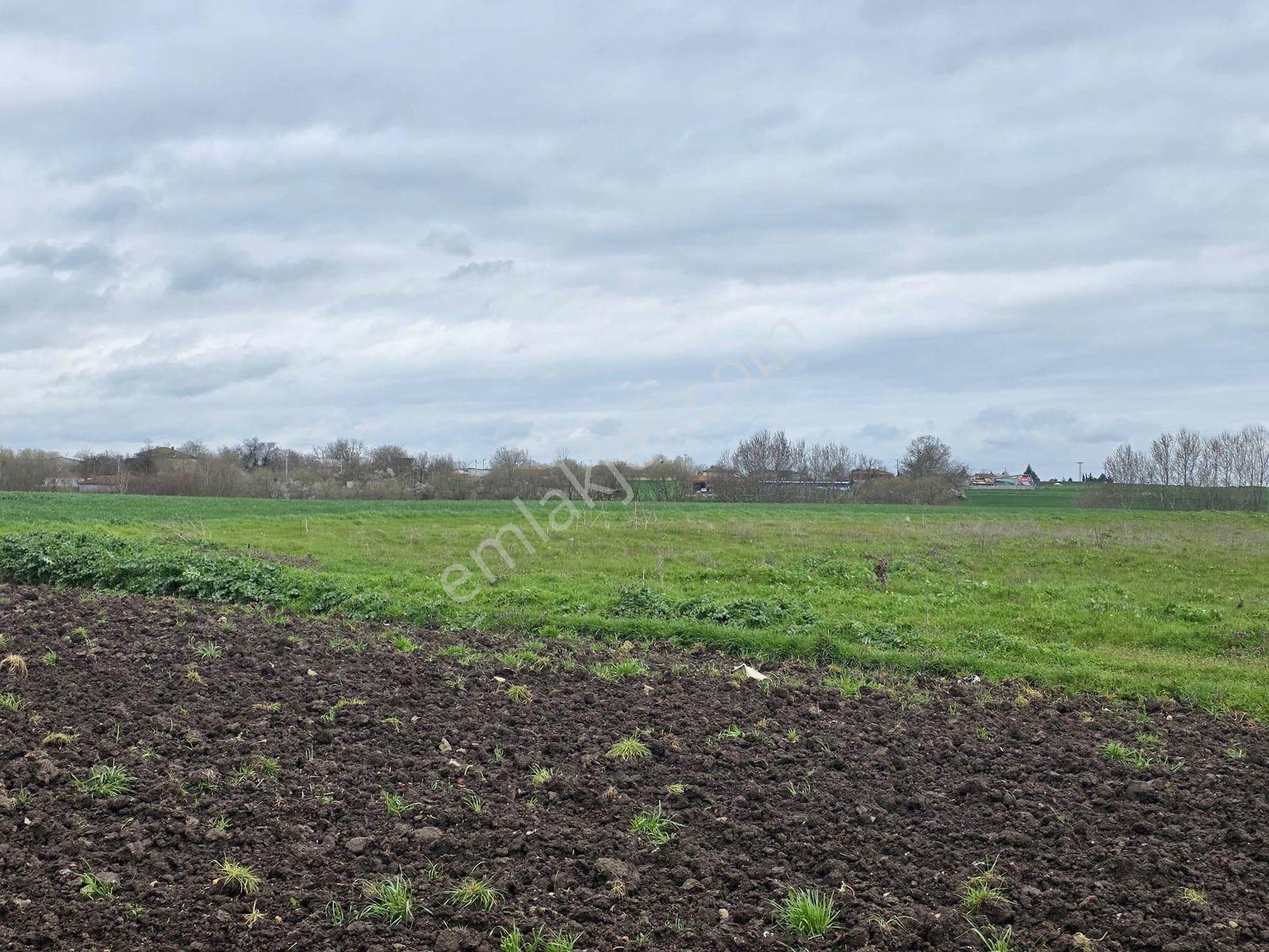 Var'dan Hayrabolu Büyükkarakarlı'da 3783m2 Hazır Projeli Arsa - Görsel 34