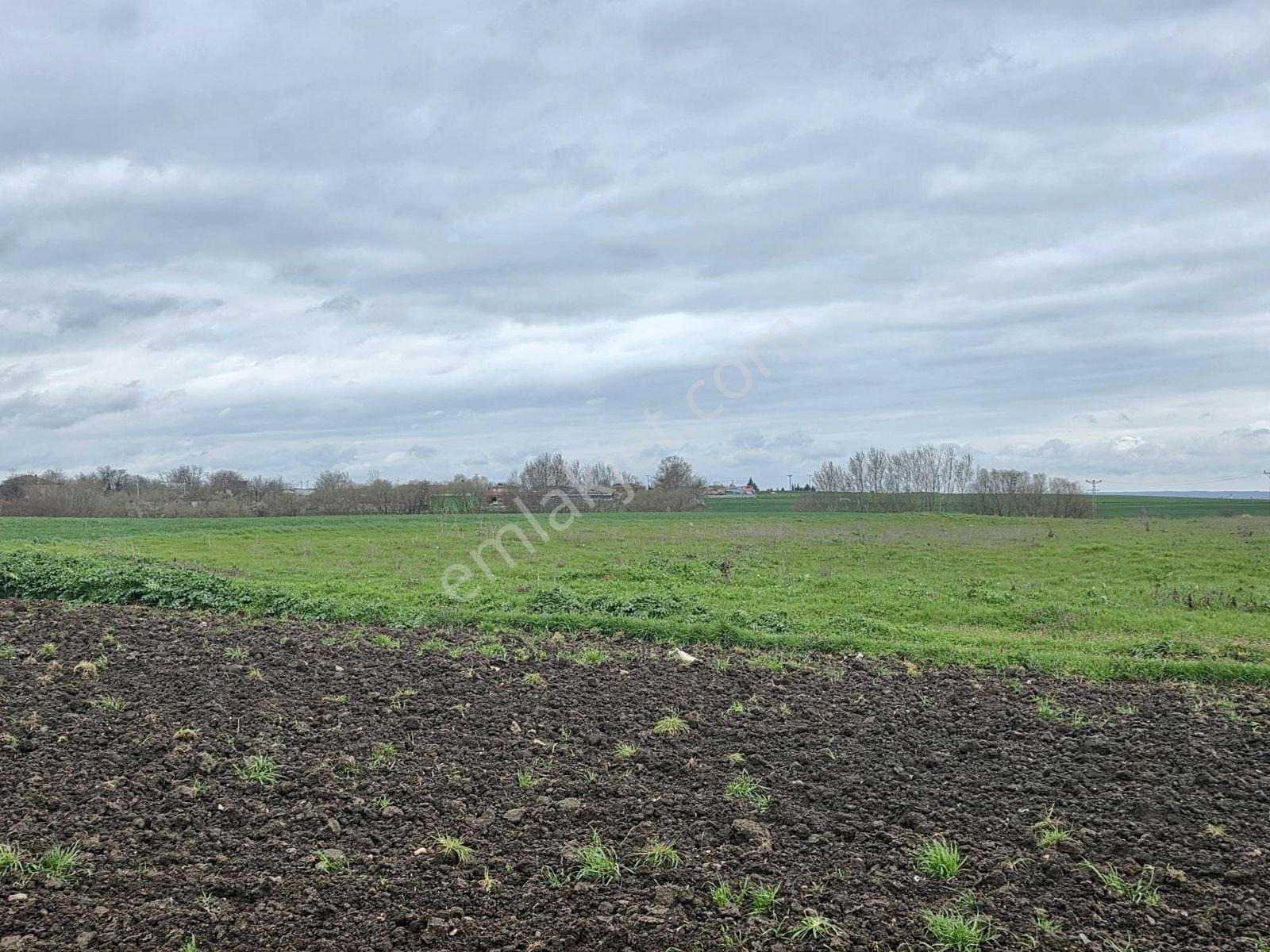 Var'dan Hayrabolu Büyükkarakarlı'da 3783m2 Hazır Projeli Arsa - Görsel 17