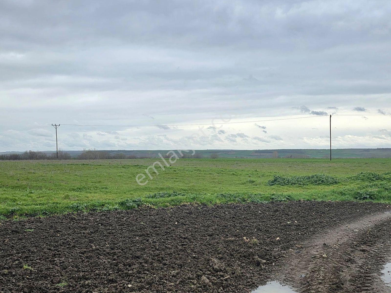 Var'dan Hayrabolu Büyükkarakarlı'da 3783m2 Hazır Projeli Arsa - Görsel 7