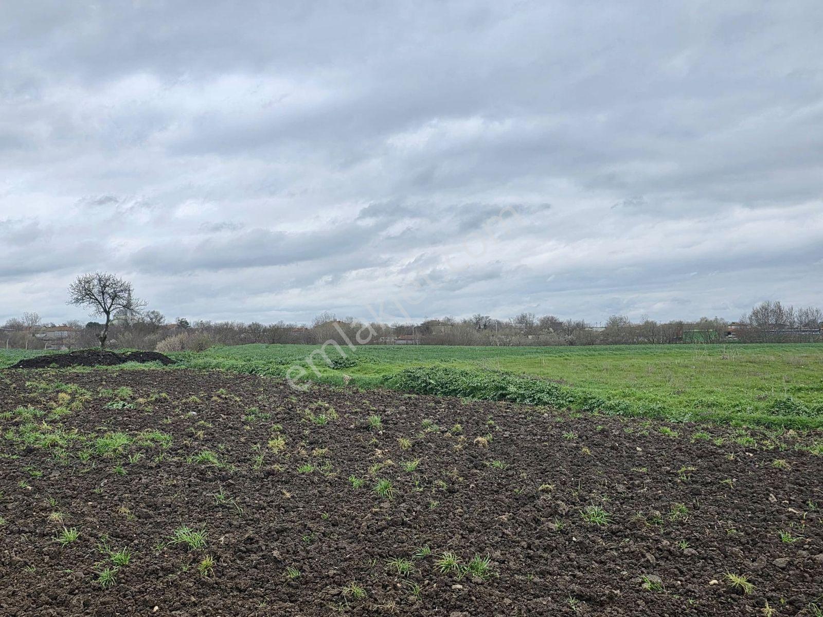 Var'dan Hayrabolu Büyükkarakarlı'da 3783m2 Hazır Projeli Arsa - Görsel 16