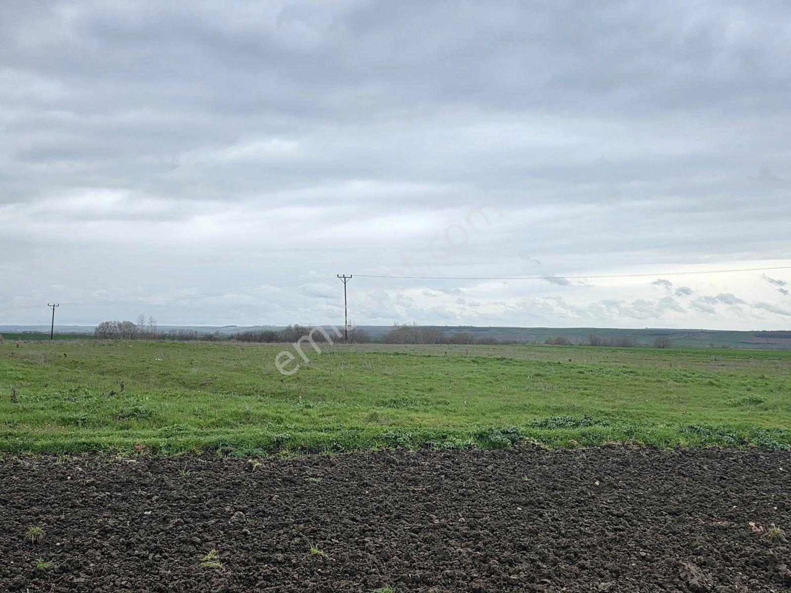 Var'dan Hayrabolu Büyükkarakarlı'da 3783m2 Hazır Projeli Arsa - Görsel 19