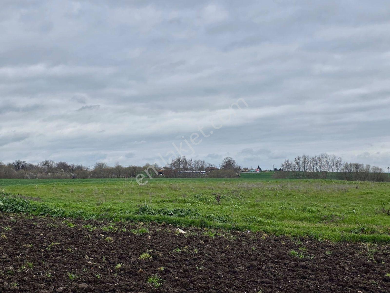 Var'dan Hayrabolu Büyükkarakarlı'da 3783m2 Hazır Projeli Arsa - Görsel 31