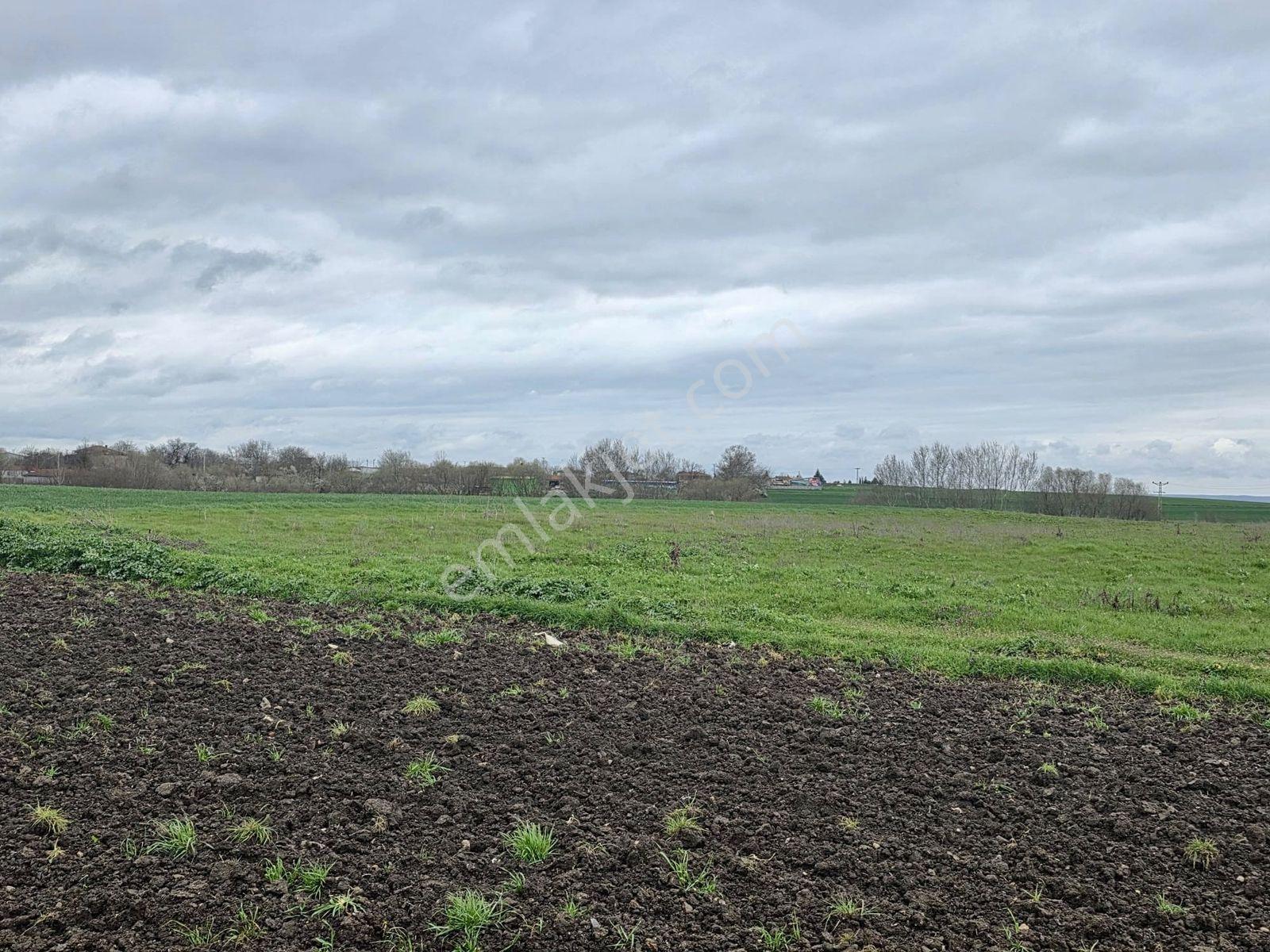 Var'dan Hayrabolu Büyükkarakarlı'da 3783m2 Hazır Projeli Arsa - Görsel 18