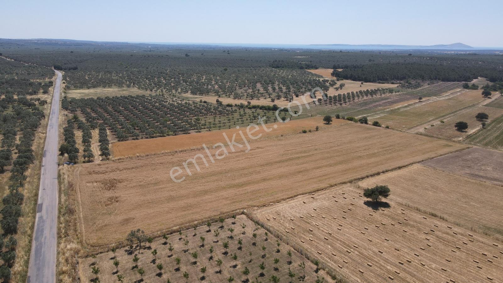 Çanakkale,ezine,bozalan Köyünde Satılık Tarla - Görsel 6