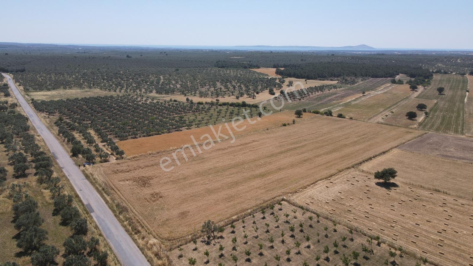 Çanakkale,ezine,bozalan Köyünde Satılık Tarla - Görsel 12