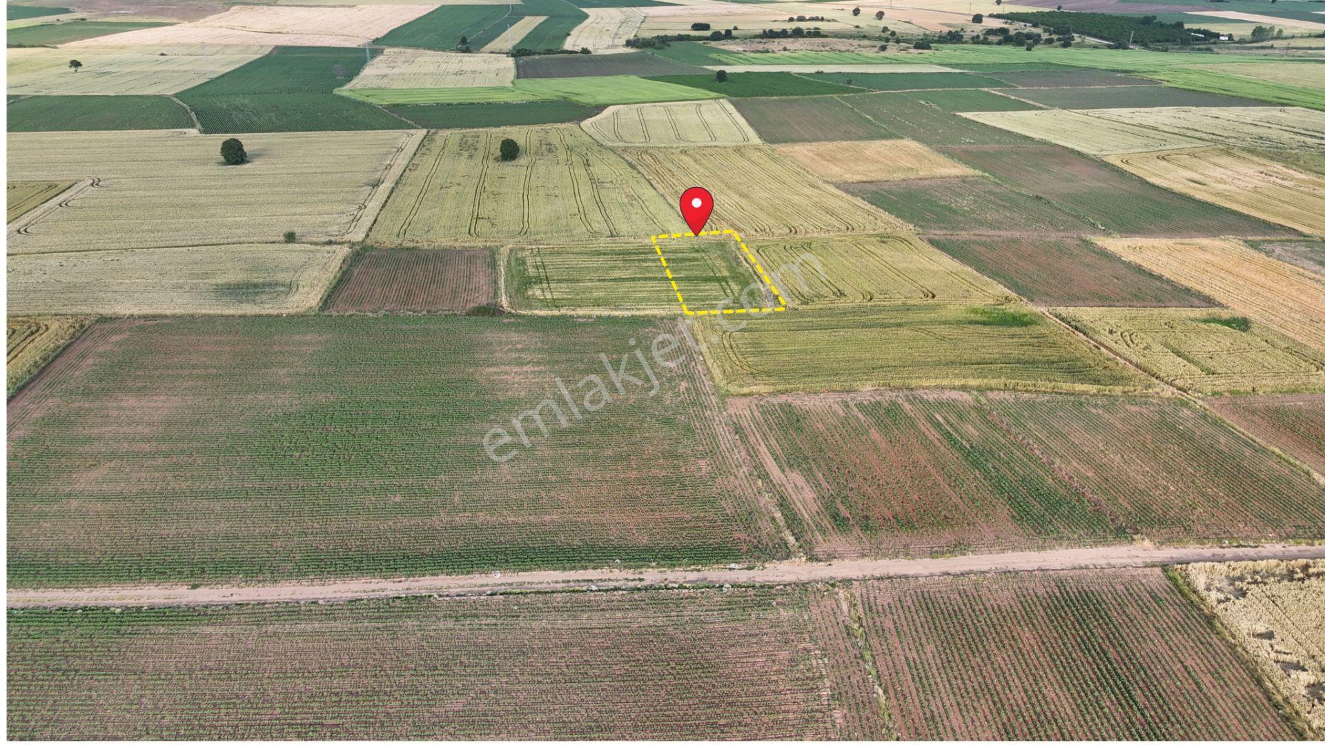 Sahibinden Dolhan Köyünde Tektapu [ 1.268 M2 ] Düz Verimli Arazi - Görsel 4