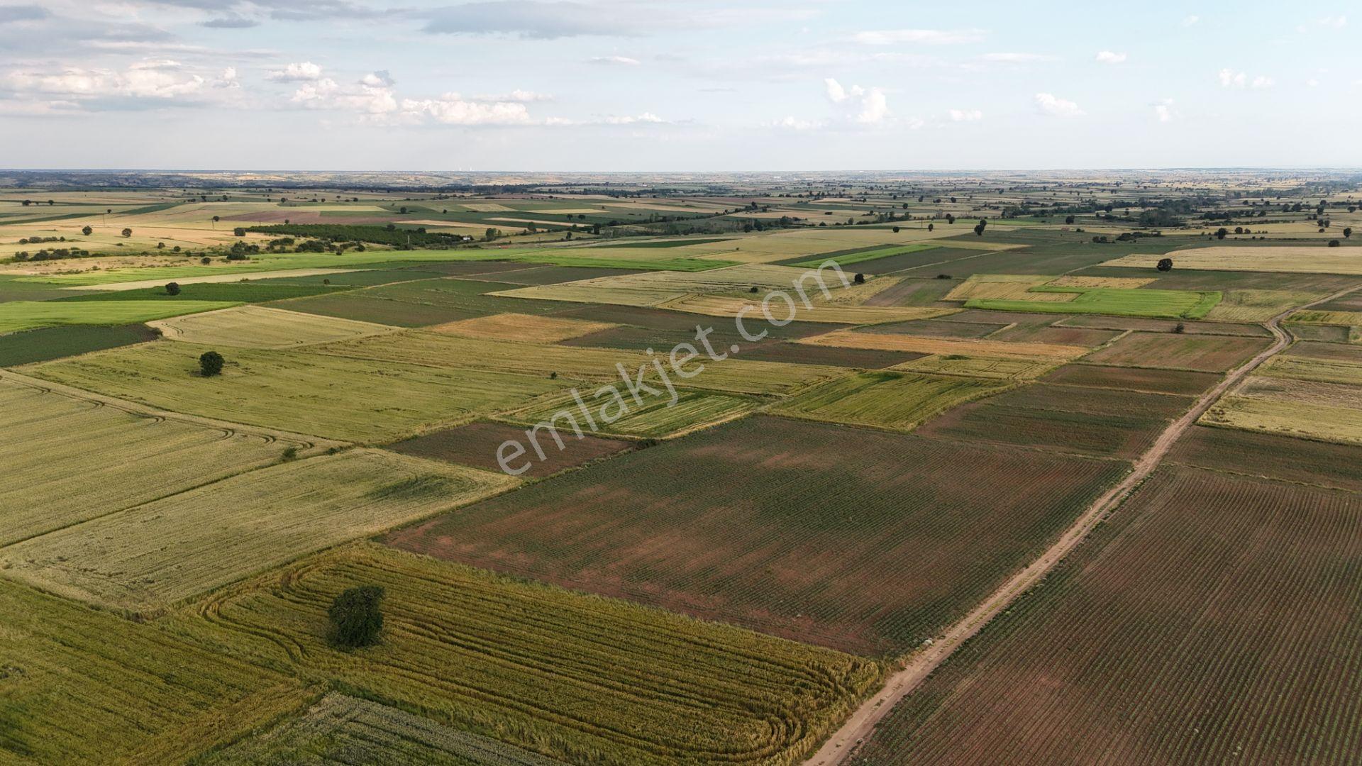Sahibinden Dolhan Köyünde Tektapu [ 1.268 M2 ] Düz Verimli Arazi - Görsel 27
