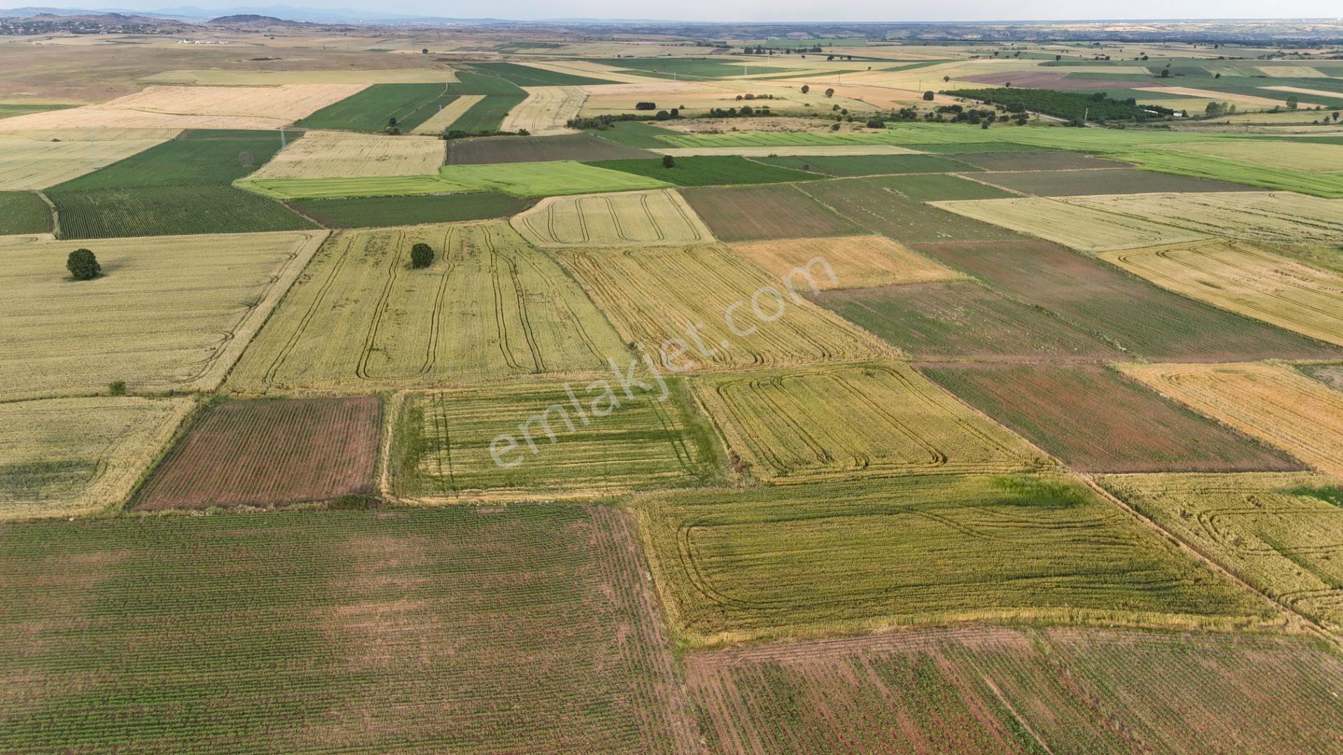 Sahibinden Dolhan Köyünde Tektapu [ 1.268 M2 ] Düz Verimli Arazi - Görsel 29