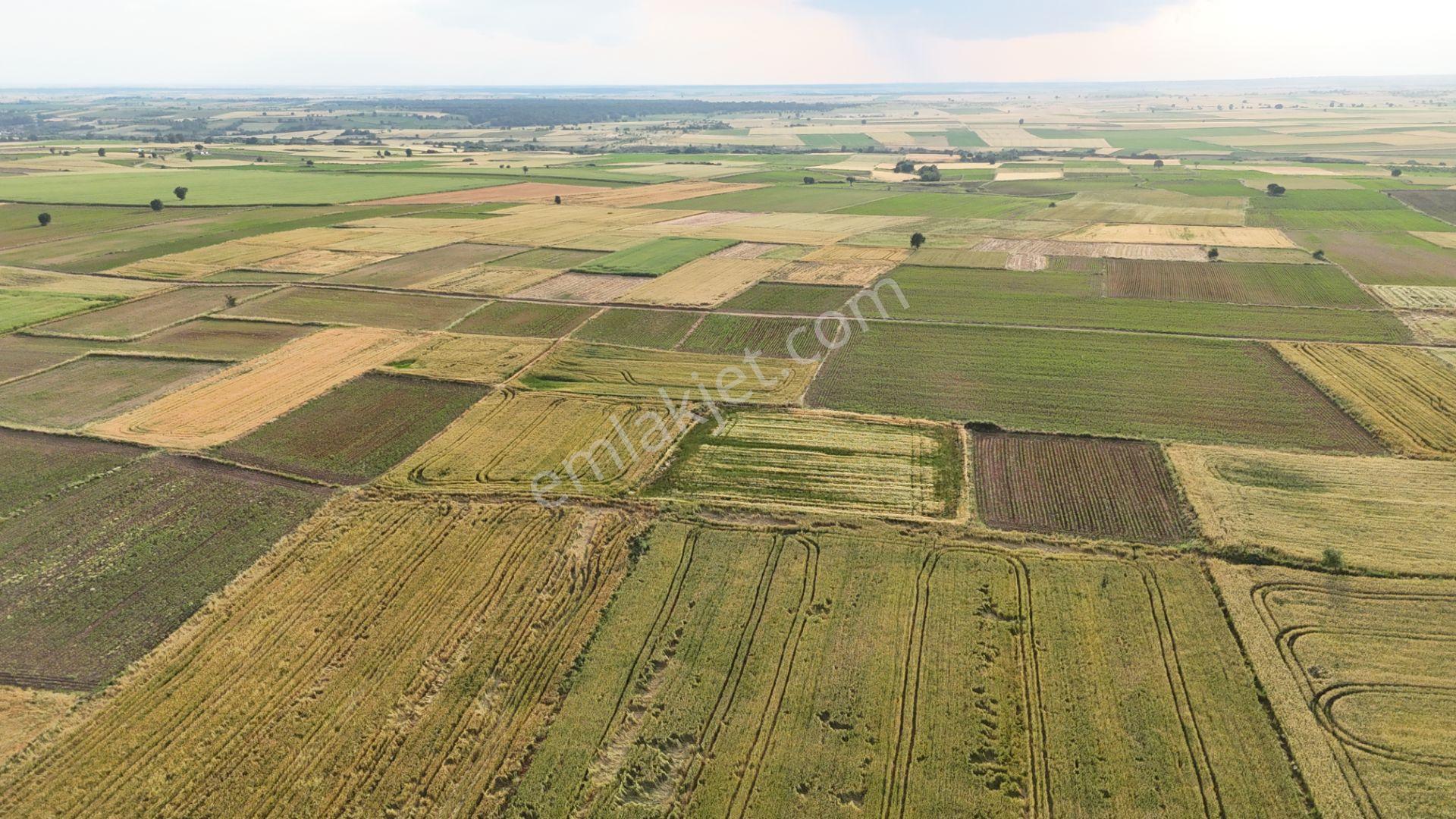 Sahibinden Dolhan Köyünde Tektapu [ 1.268 M2 ] Düz Verimli Arazi - Görsel 30