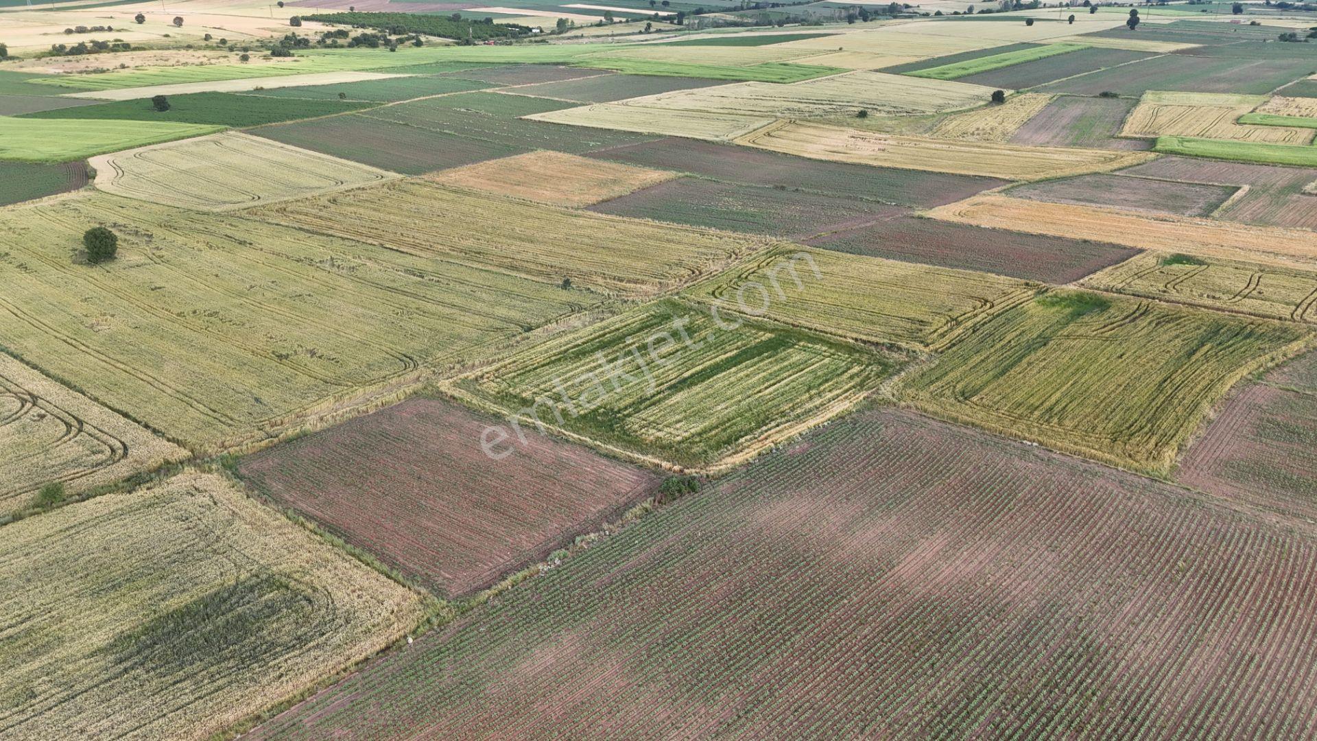 Sahibinden Dolhan Köyünde Tektapu [ 1.912 M2 ] Düz Verimli Arazi - Görsel 28