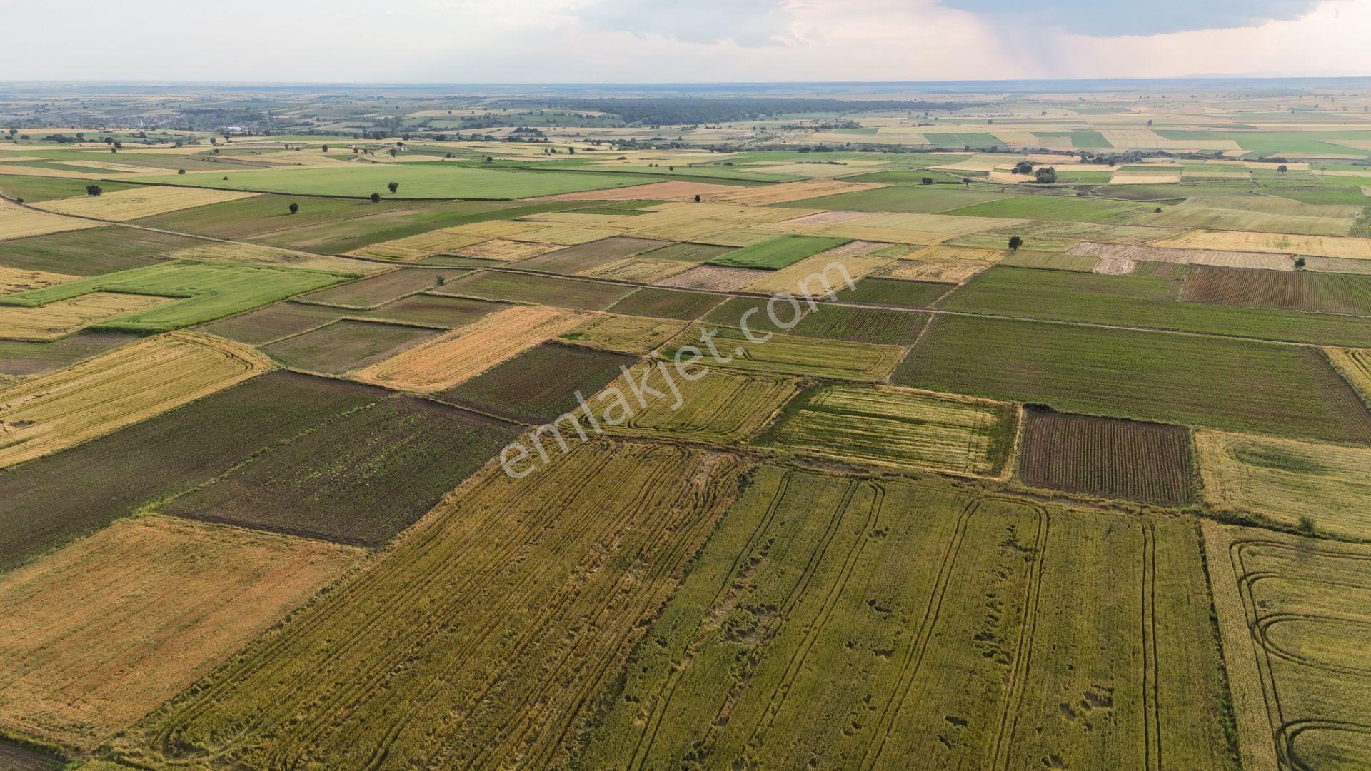 Sahibinden Dolhan Köyünde Tektapu [ 1.912 M2 ] Düz Verimli Arazi - Görsel 31