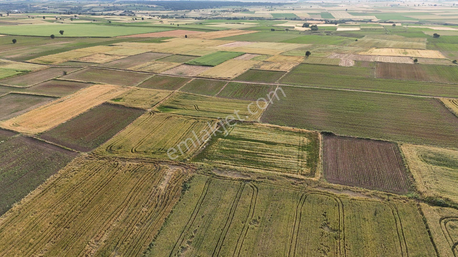 Sahibinden Dolhan Köyünde Tektapu [ 1.912 M2 ] Düz Verimli Arazi - Görsel 24