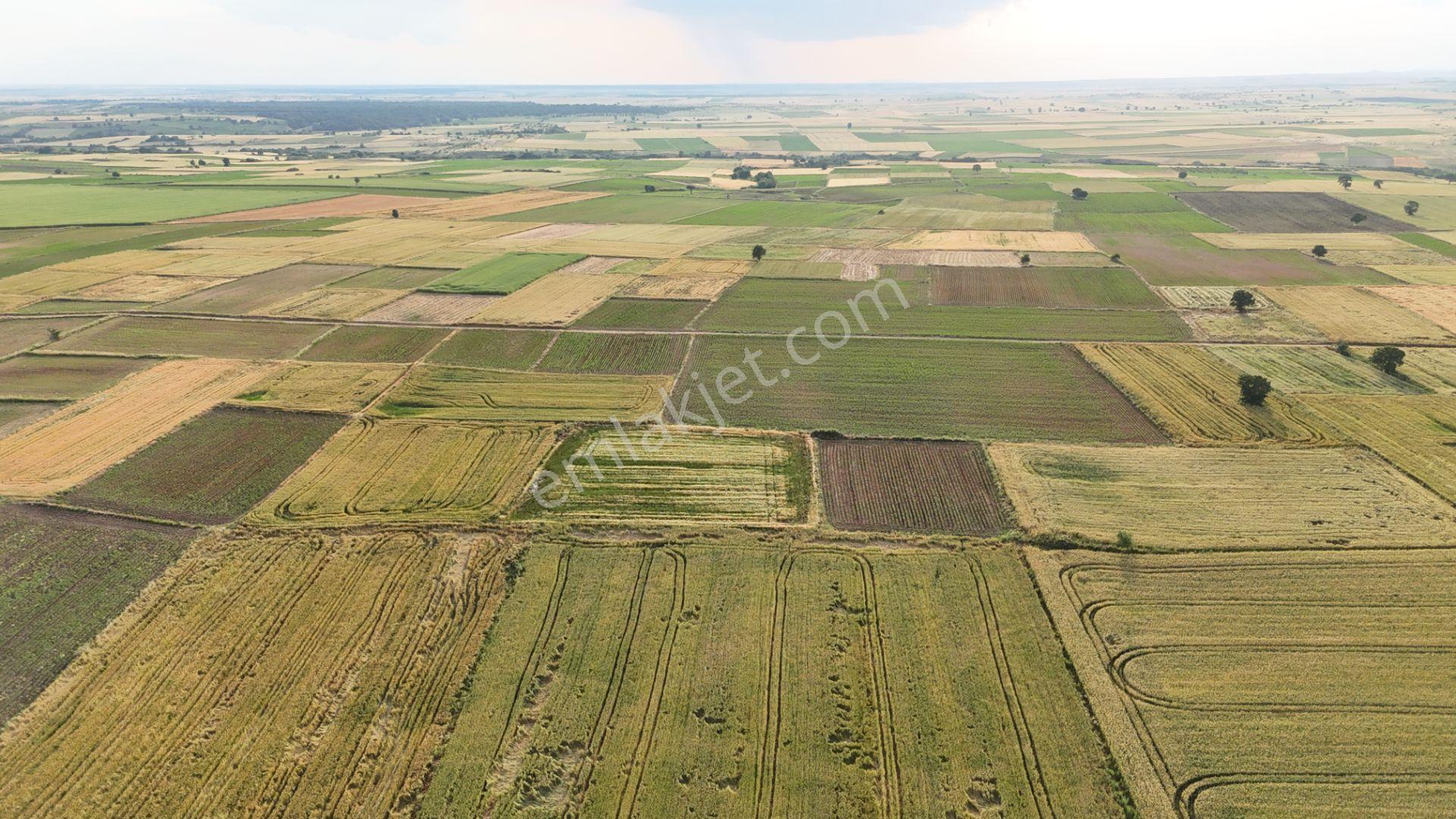 Sahibinden Dolhan Köyünde Tektapu [ 1.912 M2 ] Düz Verimli Arazi - Görsel 25