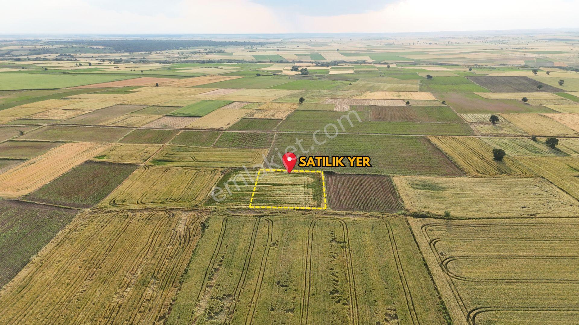 Sahibinden Dolhan Köyünde Tektapu [ 1.912 M2 ] Düz Verimli Arazi - Görsel 6