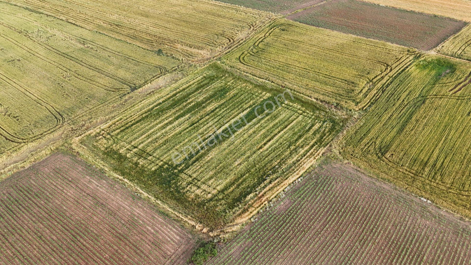 Sahibinden Dolhan Köyünde Tektapu [ 1.912 M2 ] Düz Verimli Arazi - Görsel 23
