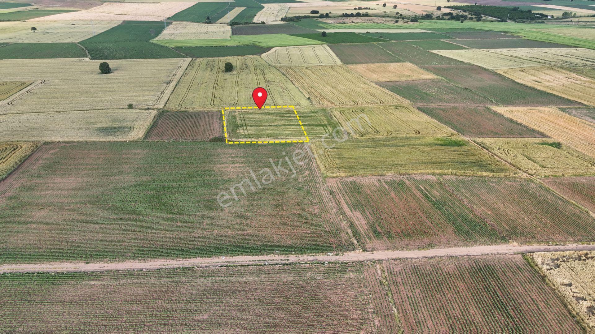 Sahibinden Dolhan Köyünde Tektapu [ 1.912 M2 ] Düz Verimli Arazi - Görsel 3
