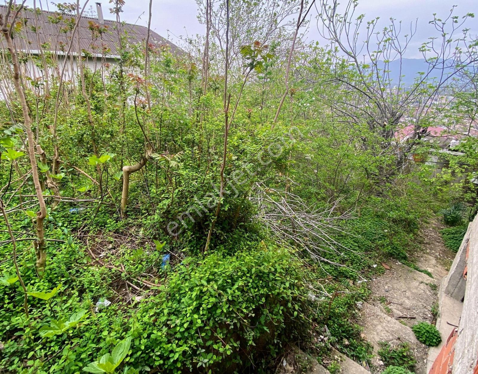 Konutix'ten İzmit Merkezde Acil Satılık İmarlı Arsa - Görsel 2
