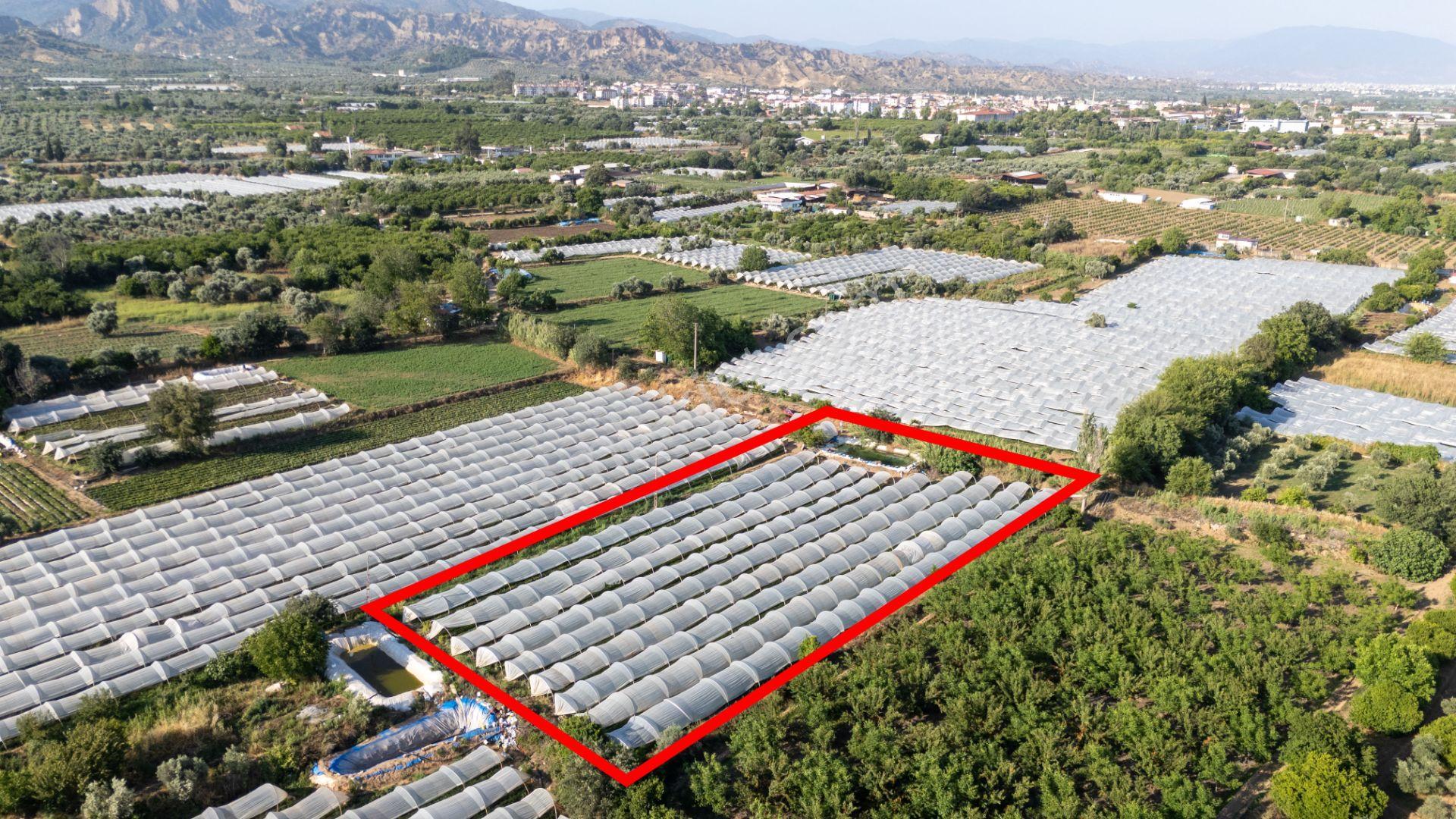 Sultanhisar Atça Mahallesinde Satılık 3700 Metrekare Tarla - Görsel 9