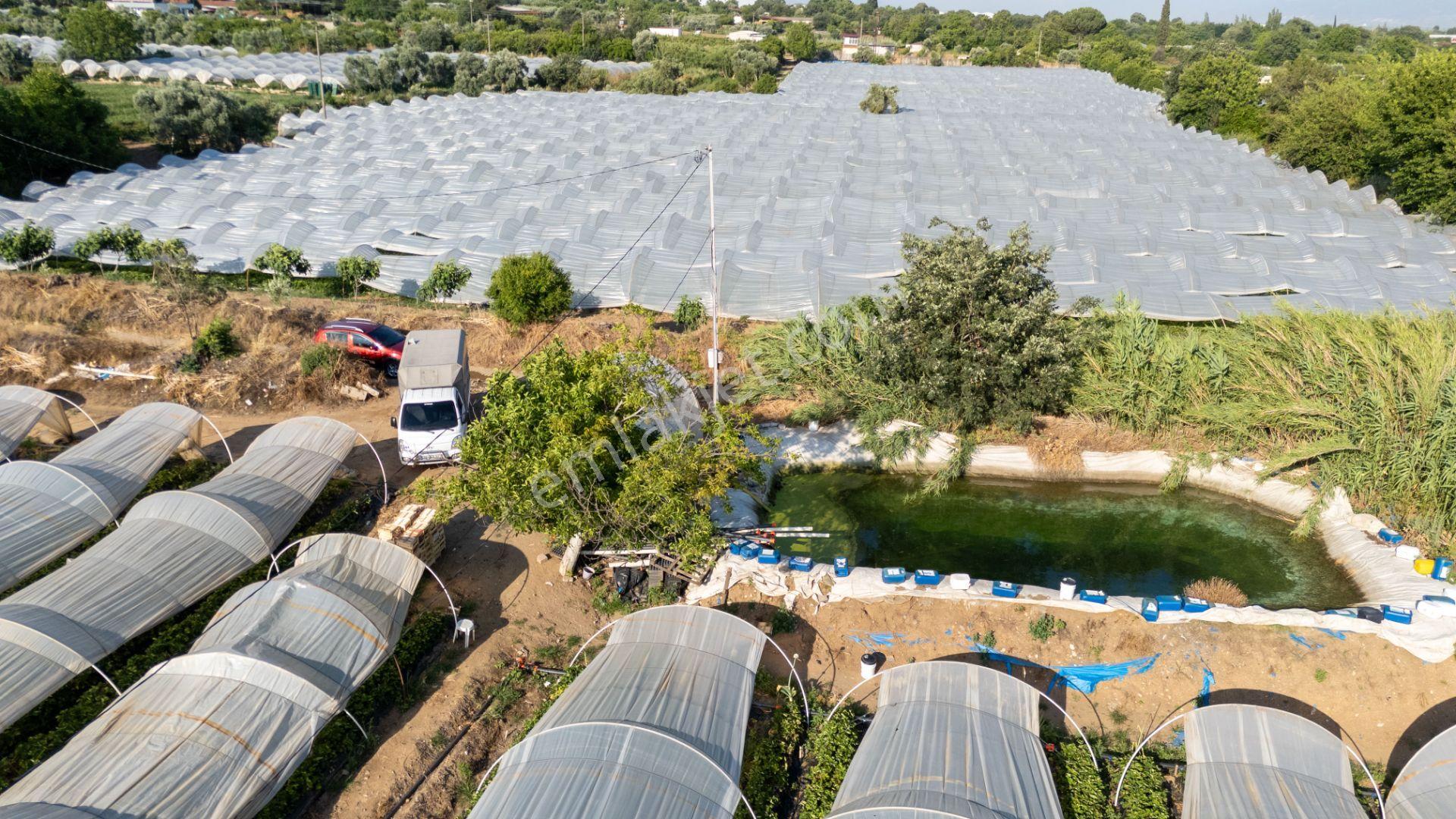Sultanhisar Atça Mahallesinde Satılık 3700 Metrekare Tarla - Görsel 2