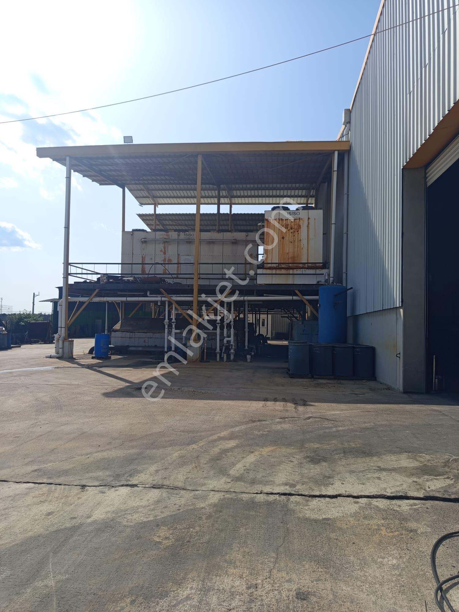 Organize Sanayi 7353m2 Arsa 3181m2 Kapalı+500m2 Ofis Yükseklik 9m İlk Giriş Fabrikası E-5 Ten 300m - Görsel 13
