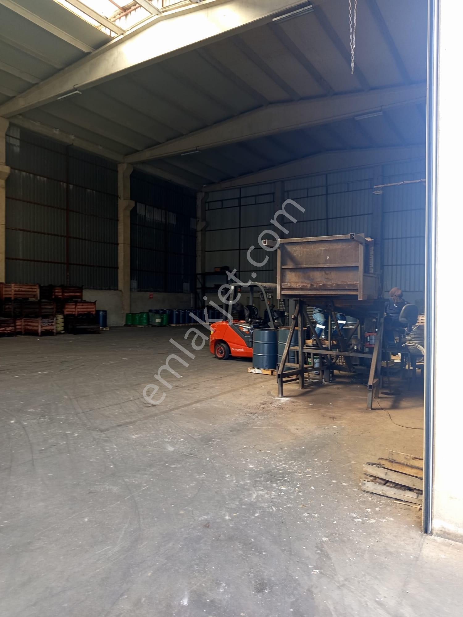 Organize Sanayi 7353m2 Arsa 3181m2 Kapalı+500m2 Ofis Yükseklik 9m İlk Giriş Fabrikası E-5 Ten 300m - Görsel 7