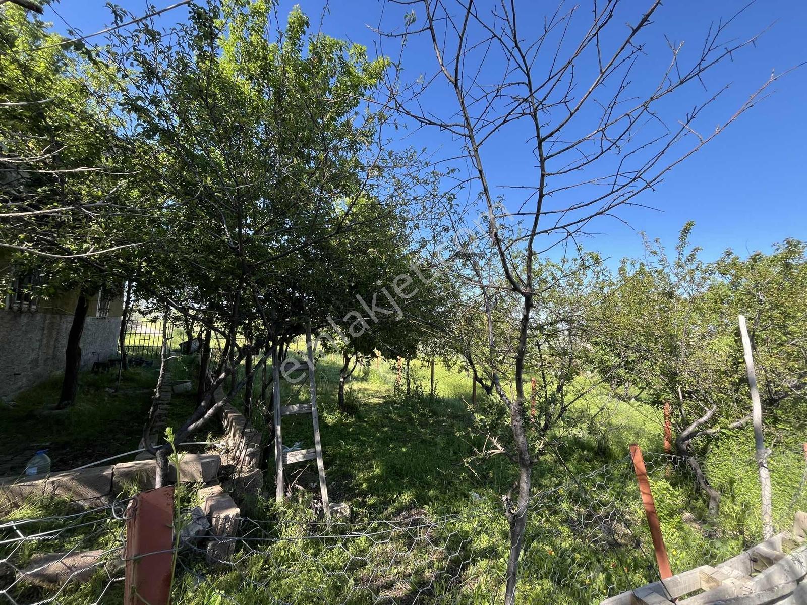 Asen Gayrimenkulden Göre Çayırlıkta Yatırımlık Fırsat Arazi - Görsel 15