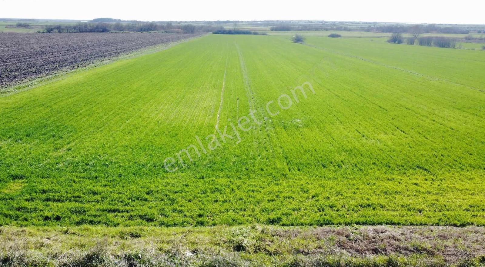 Durak Mahallesi İmar Dibi Satılık Tarla 7003 M2 Yol/müstakil - Görsel 8