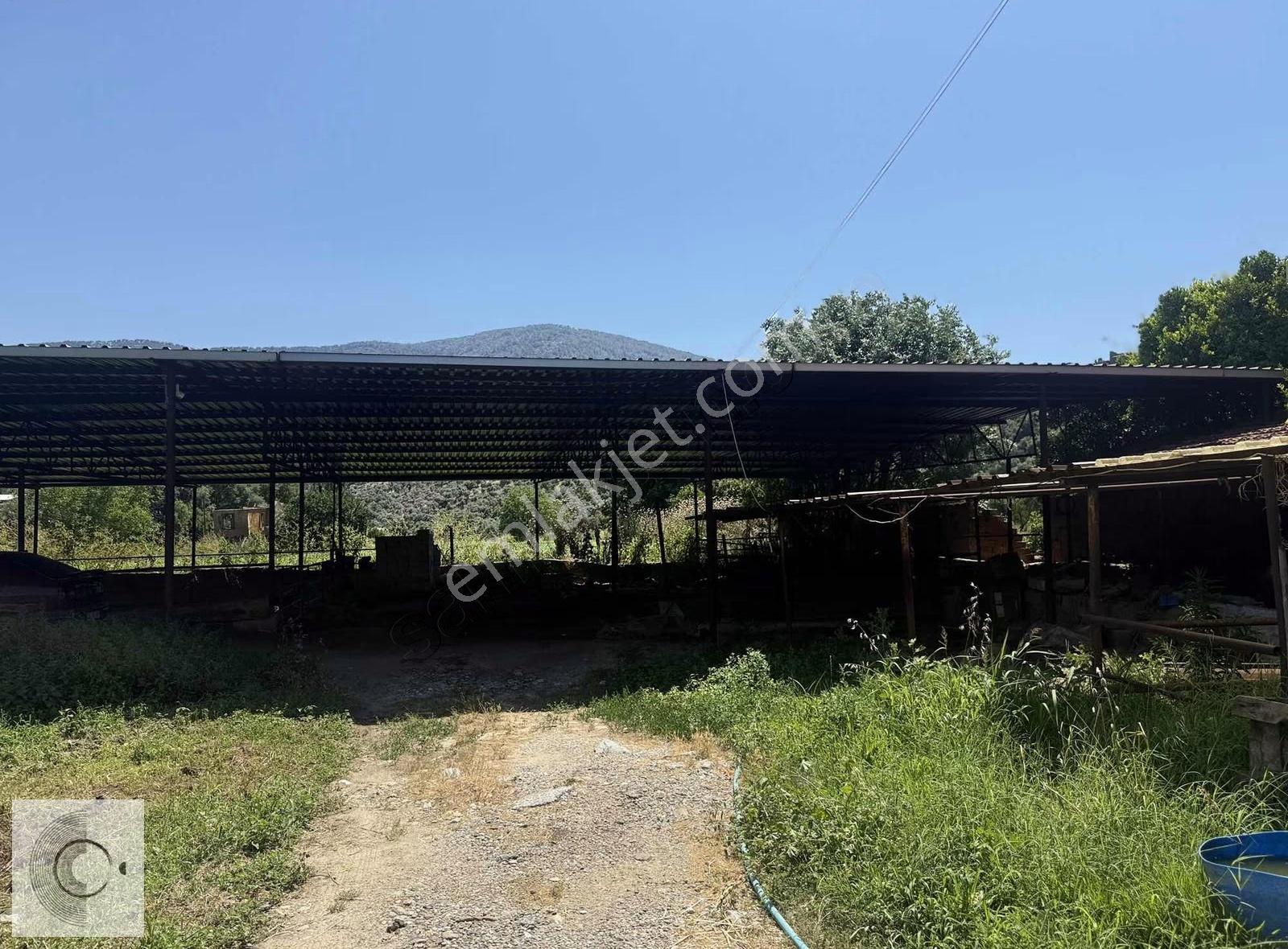 Muğla Milas Bafa - Görsel 4