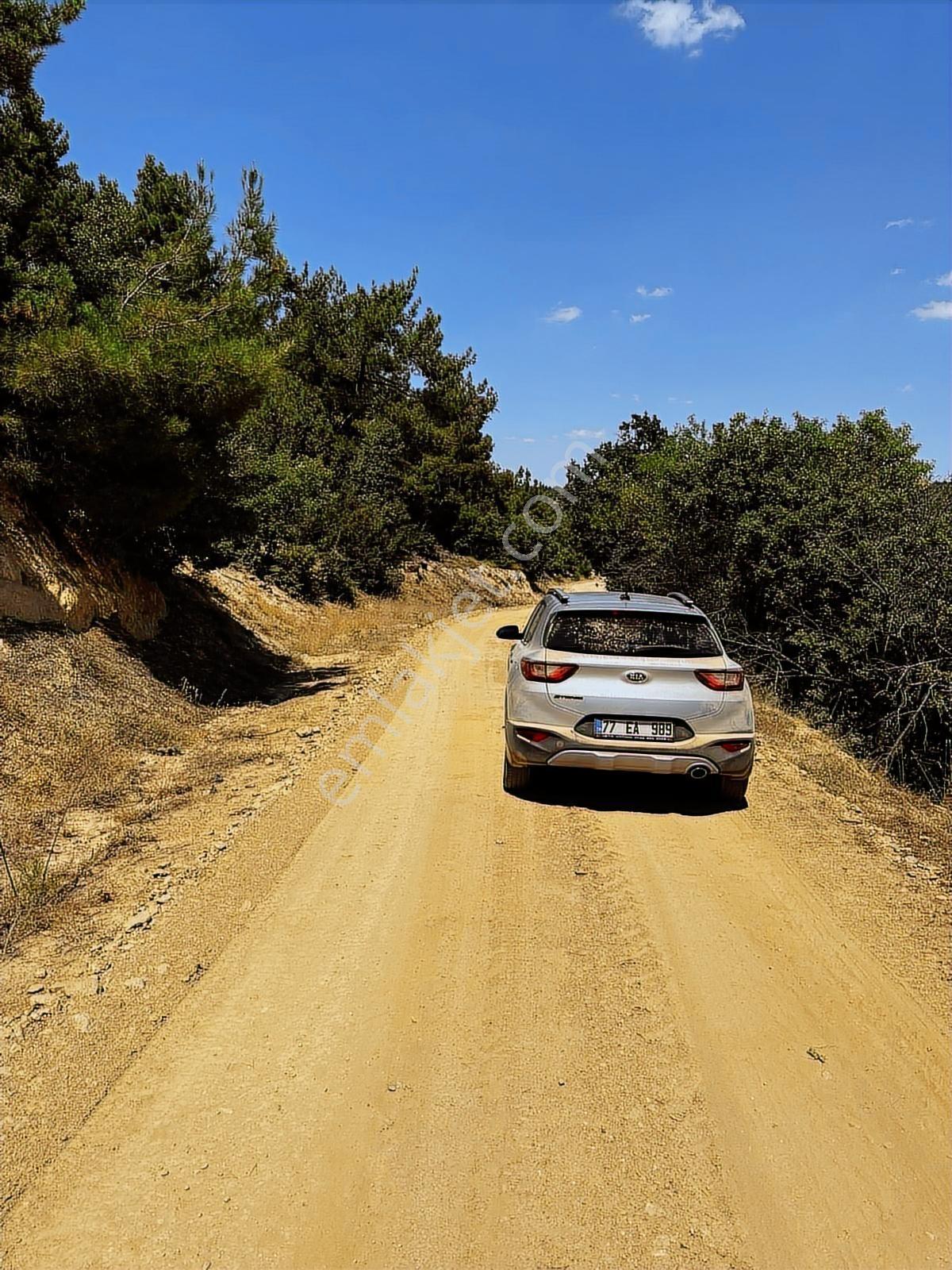 Göl Manzaralı Yolu Açılmış Doğa İçinde Uygun Fiyatlı Tarla - Görsel 7