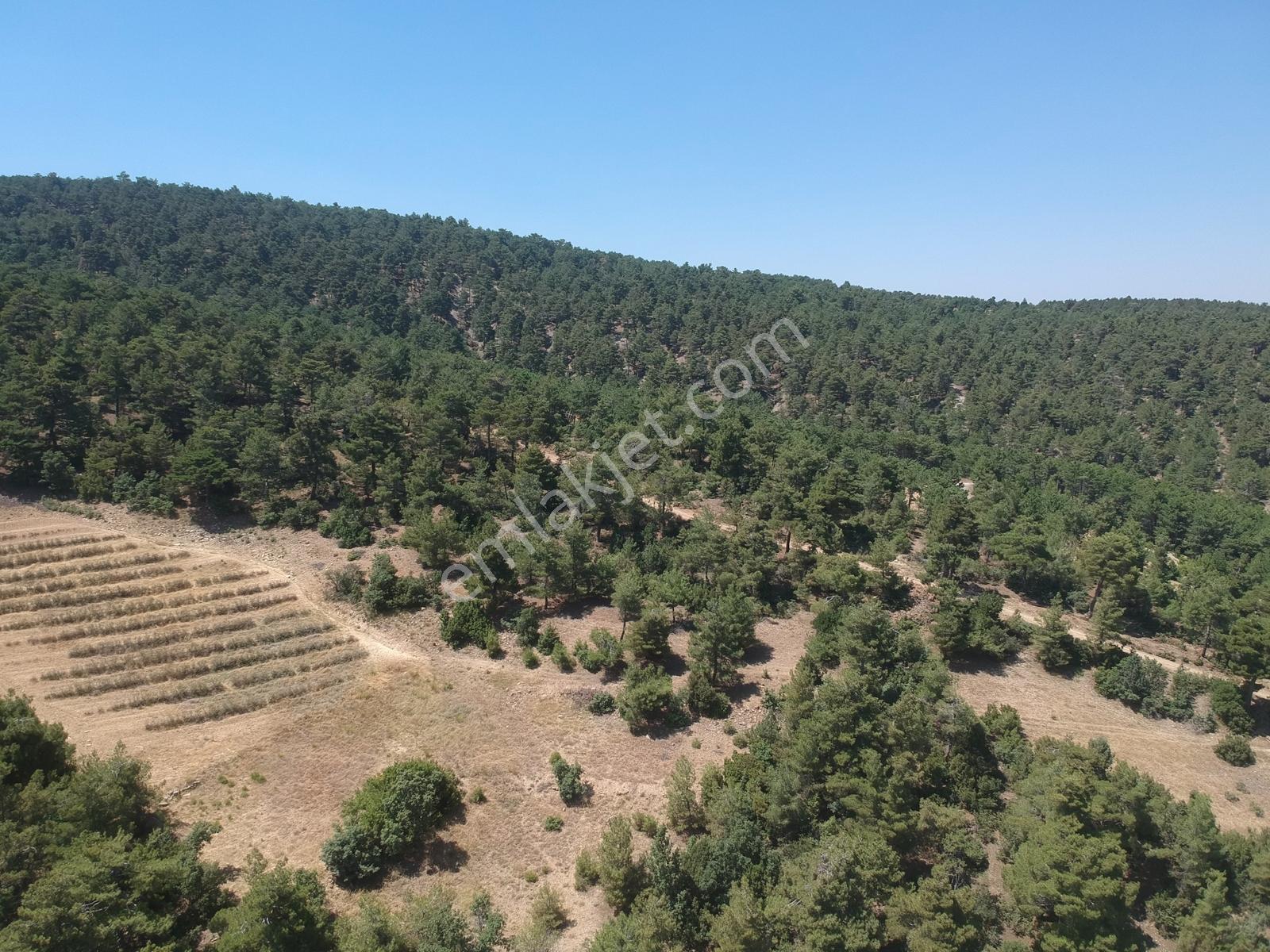 Göl Manzaralı Yolu Açılmış Doğa İçinde Uygun Fiyatlı Tarla - Görsel 31