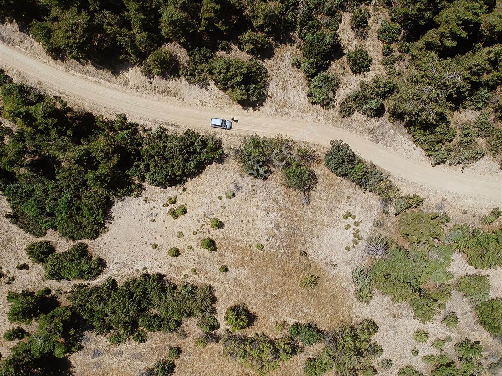 Göl Manzaralı Yolu Açılmış Doğa İçinde Uygun Fiyatlı Tarla - Görsel 30