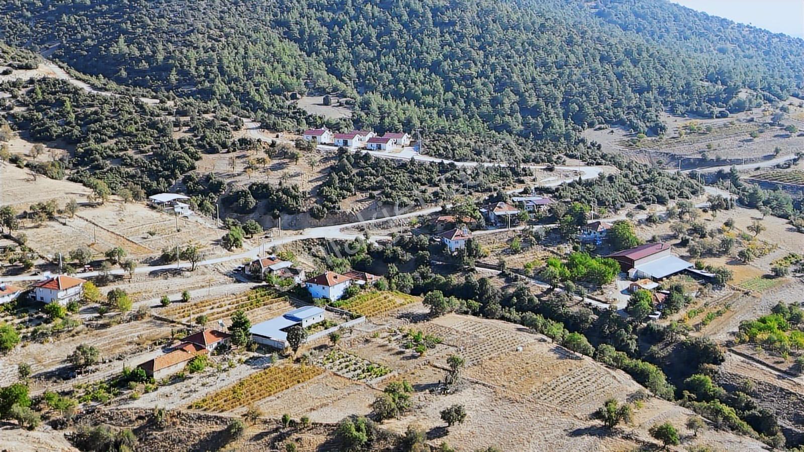 Afyon Dazkırında Köy İçinde Yolu Olan Tarla - Görsel 3